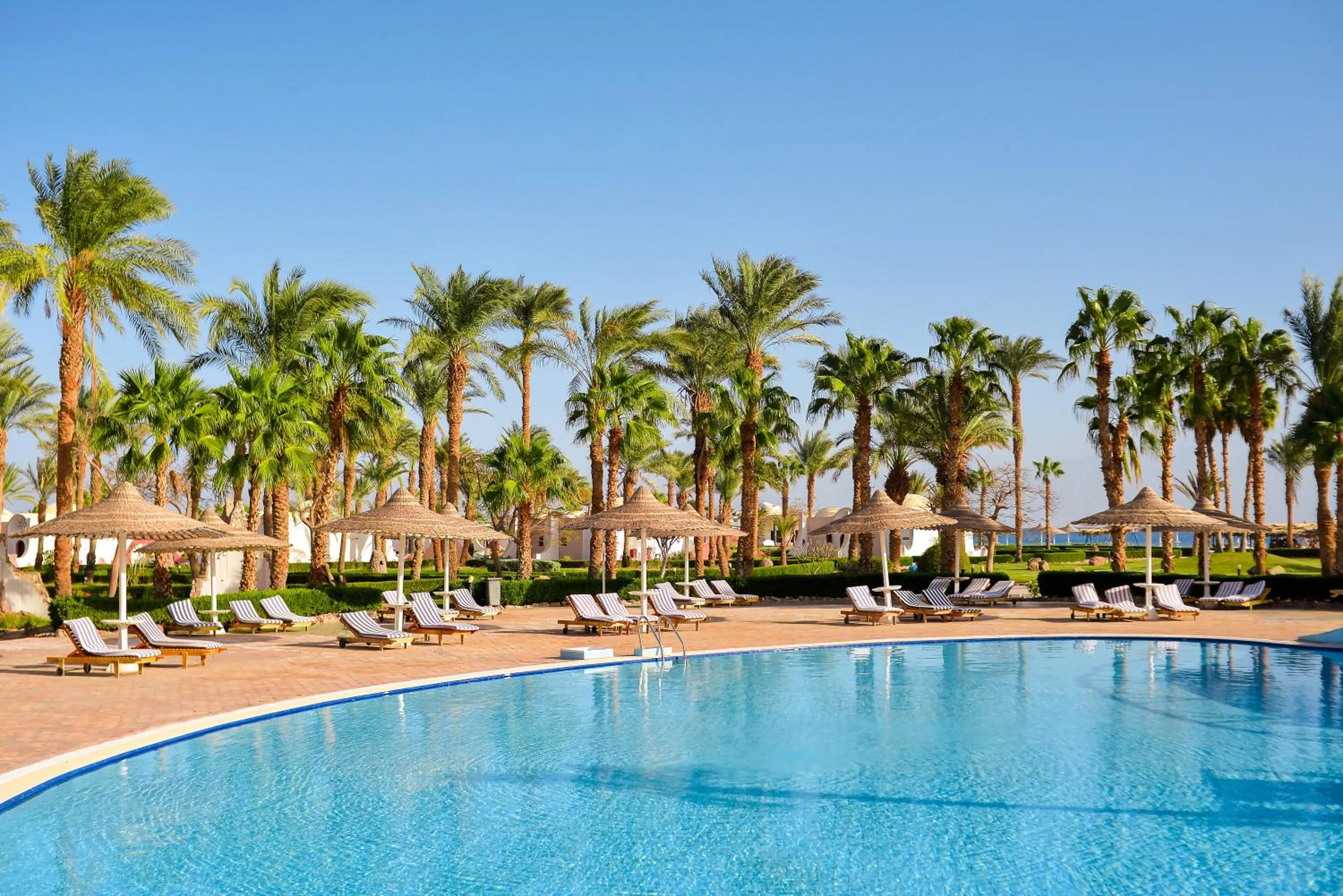 Swimming pool in TIME Coral Nuweiba Resort