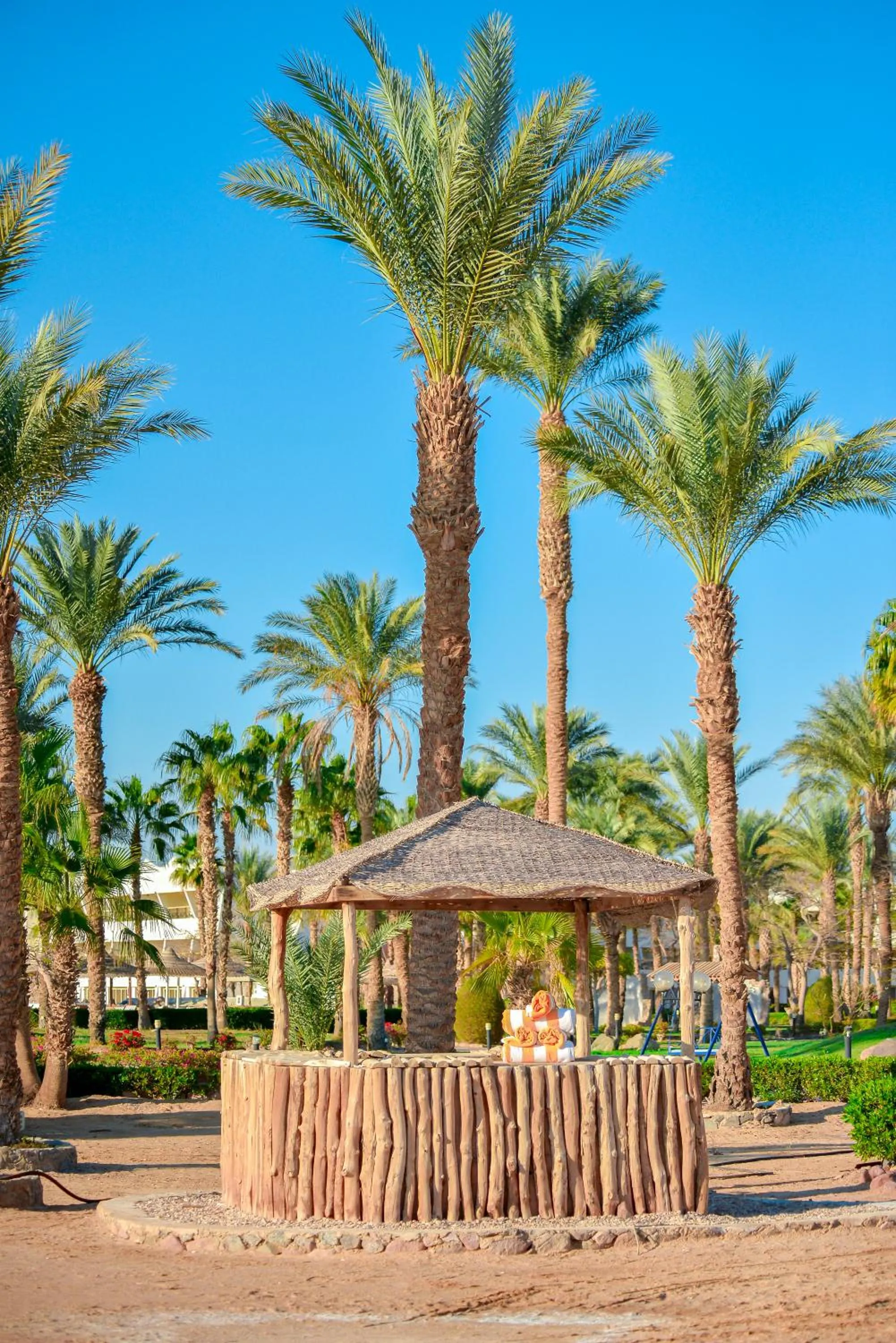 Garden in TIME Coral Nuweiba Resort