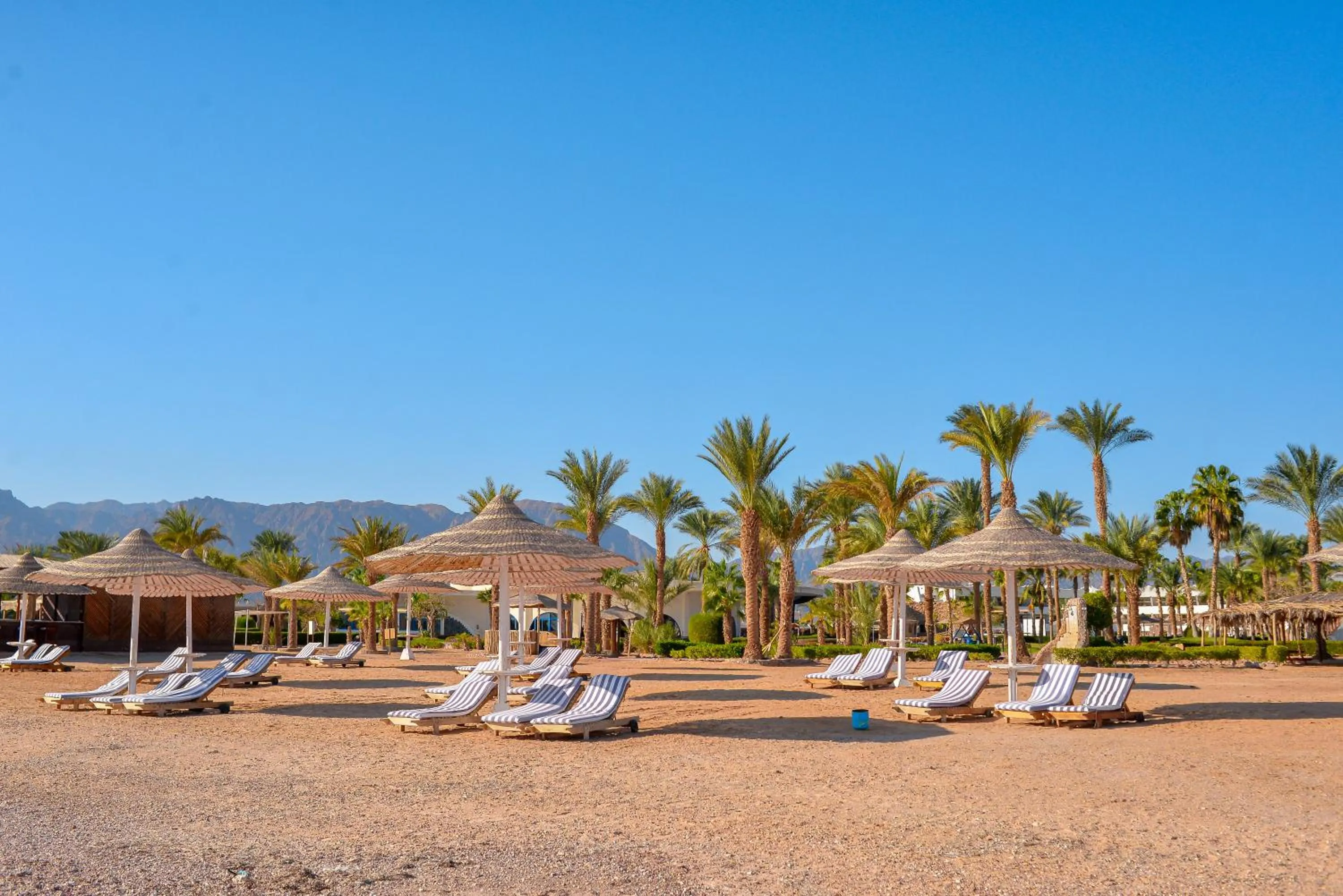 Beach in TIME Coral Nuweiba Resort