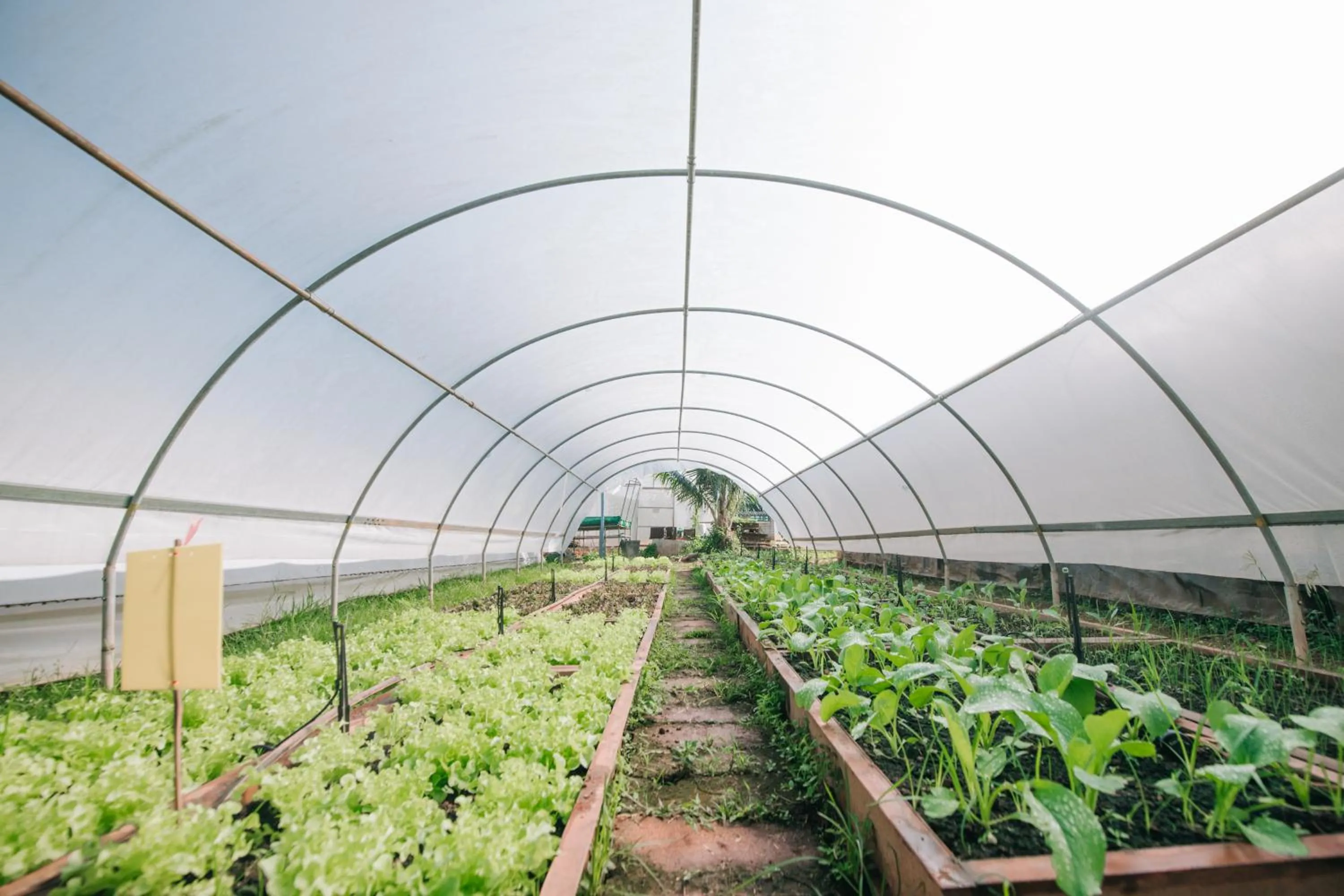 Garden in Kipbox Hotel Trang