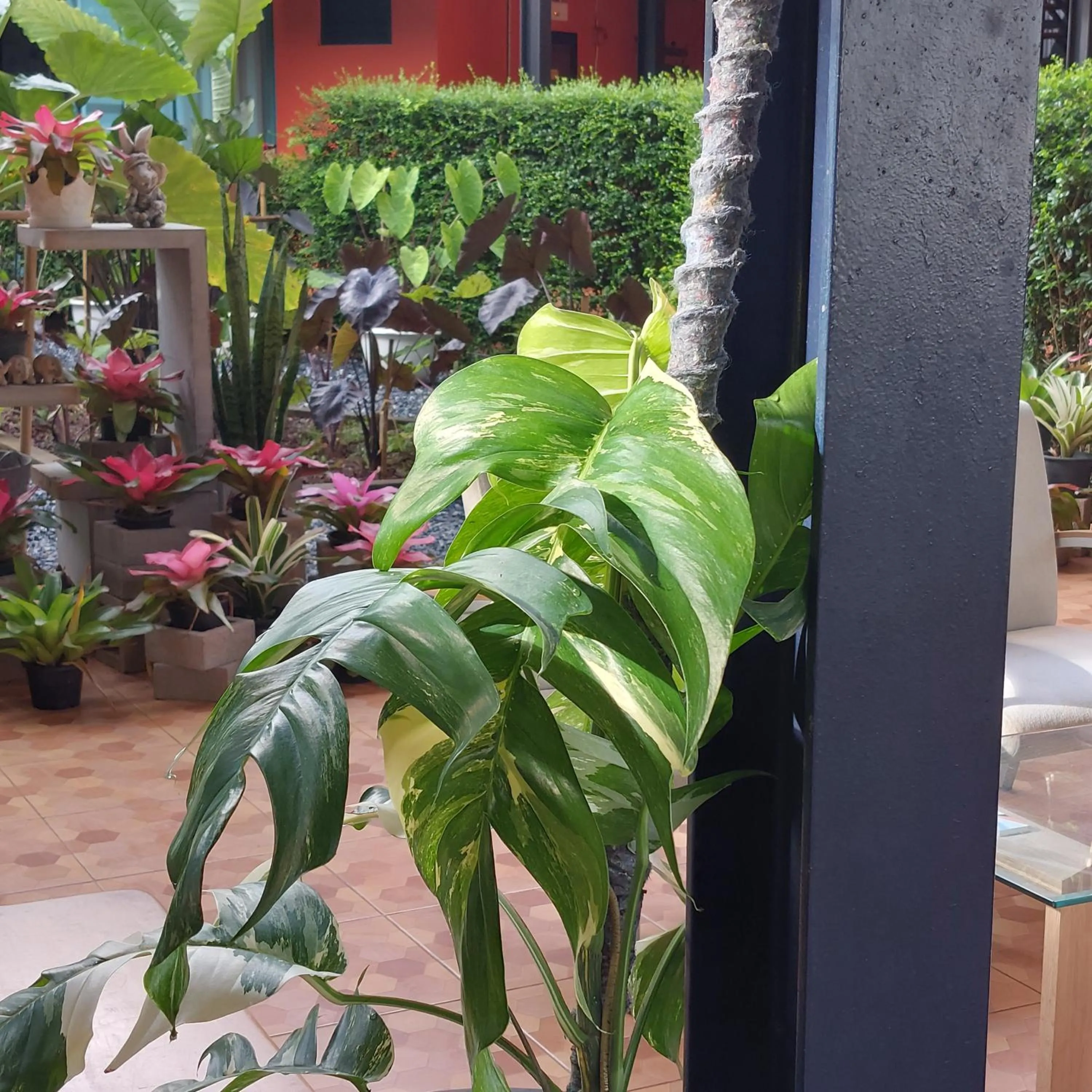 Balcony/Terrace in Kipbox Hotel Trang