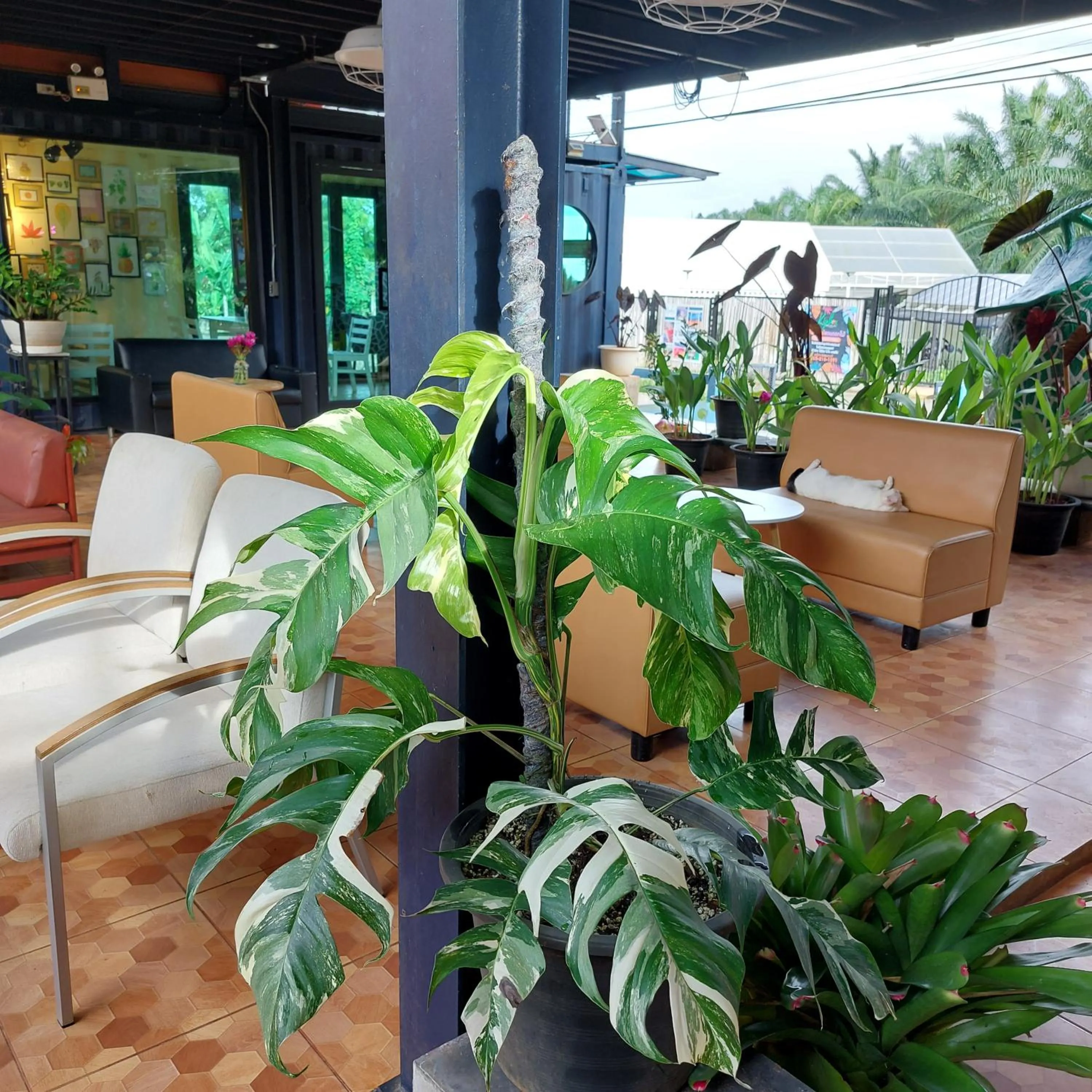 Lounge or bar in Kipbox Hotel Trang