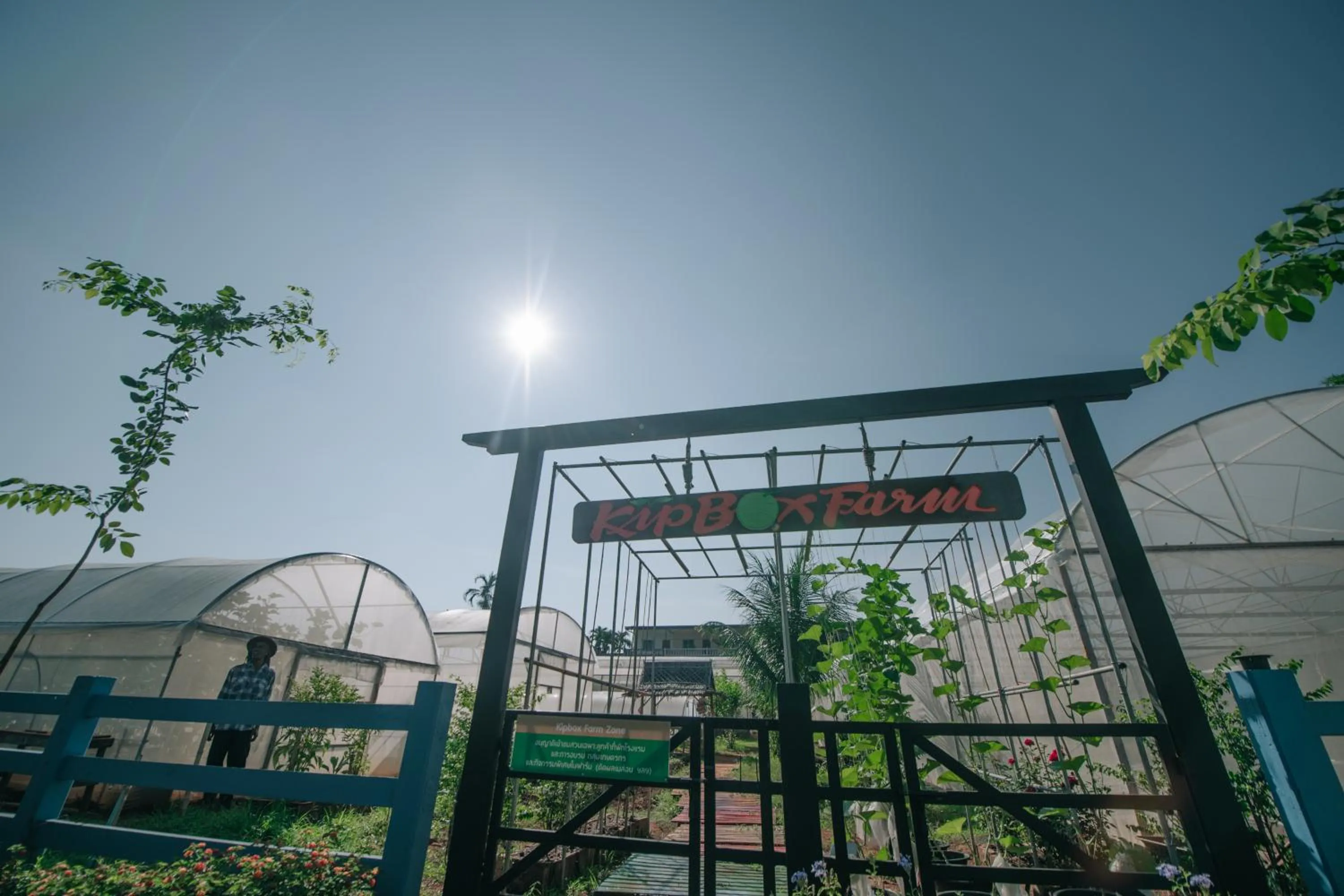 Garden in Kipbox Hotel Trang