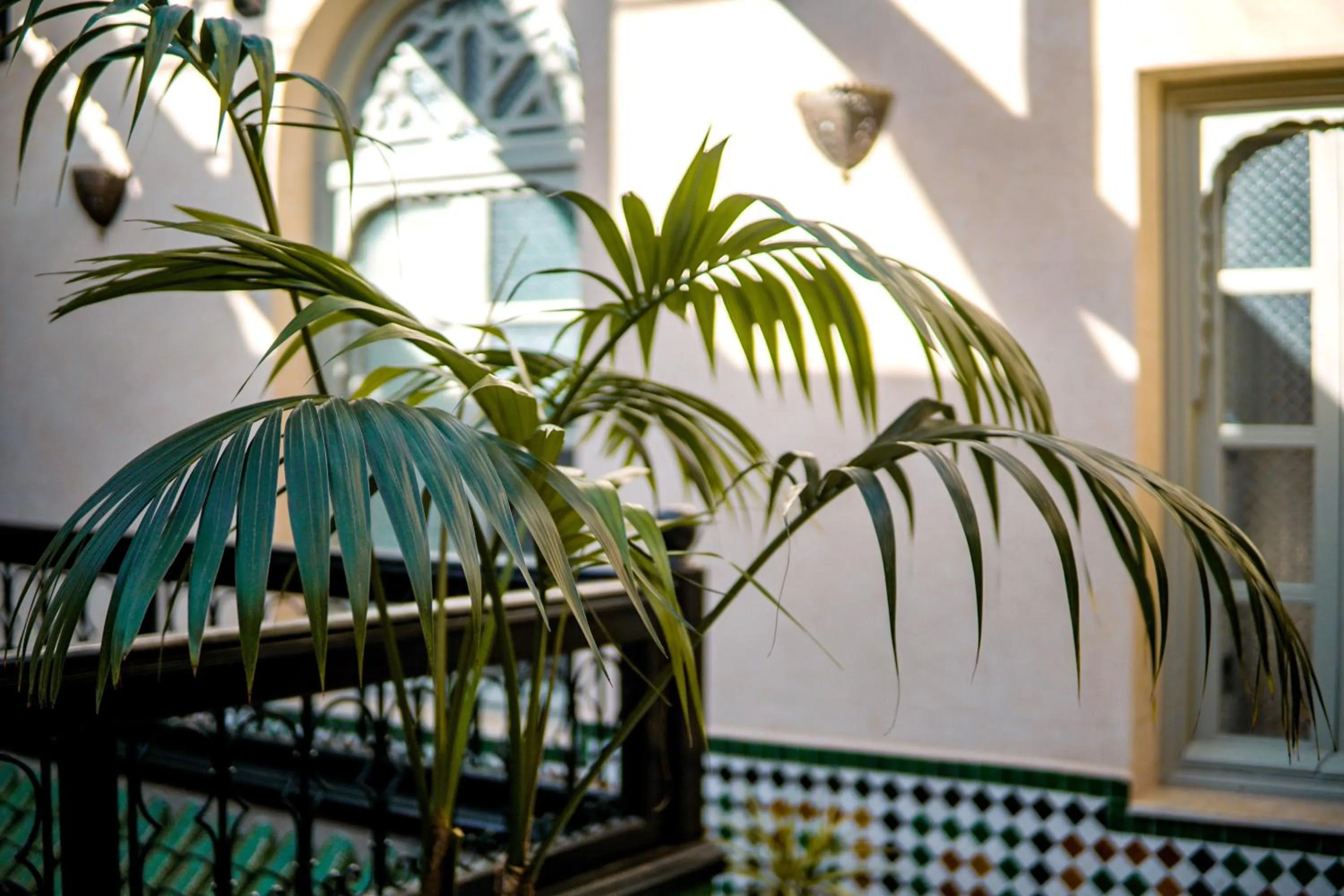 Patio in Riad Zidania