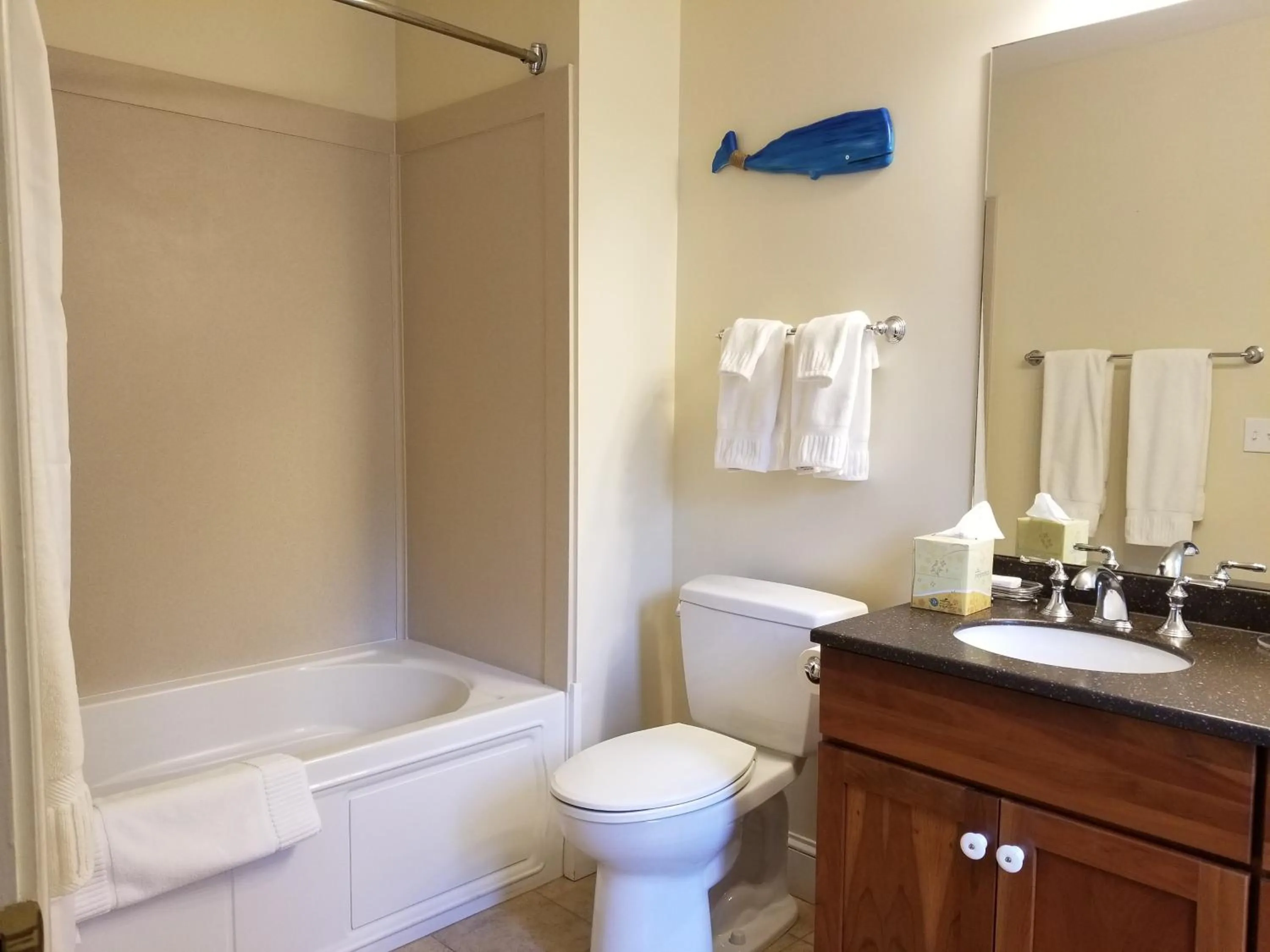 Shower in The Primrose