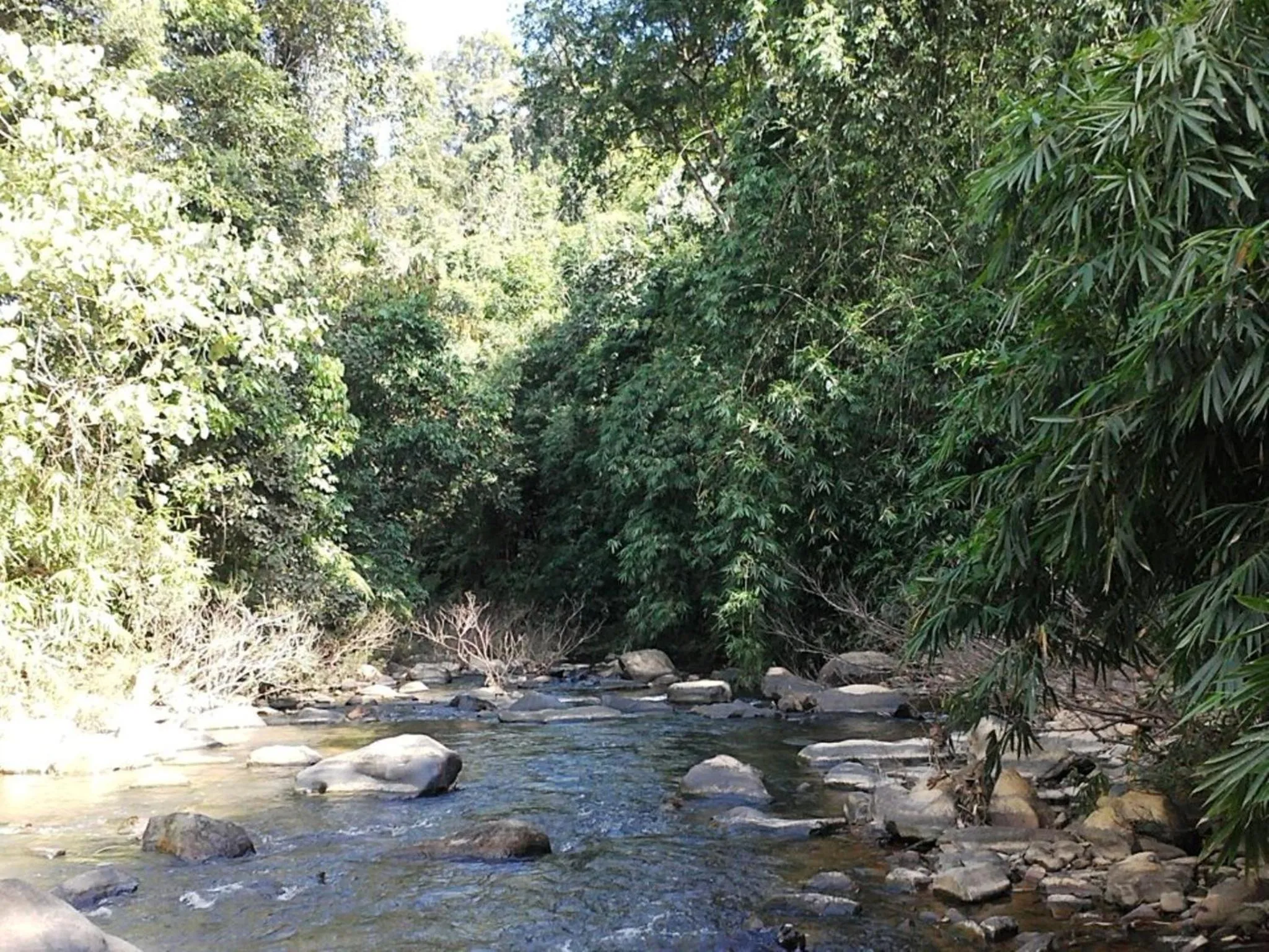 Neighbourhood in Memoria Palace & Resort