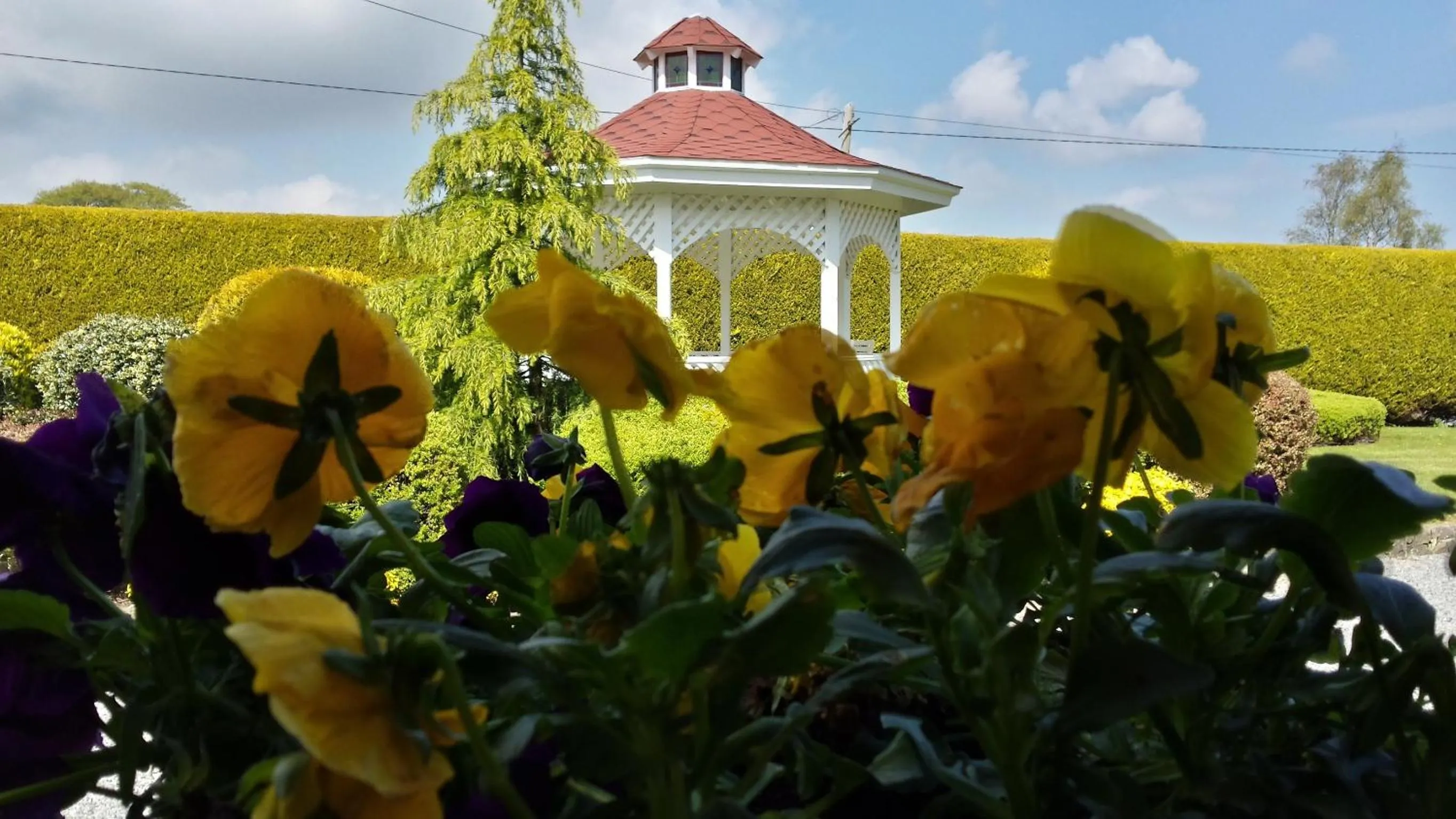 Patio in San Juan B&B