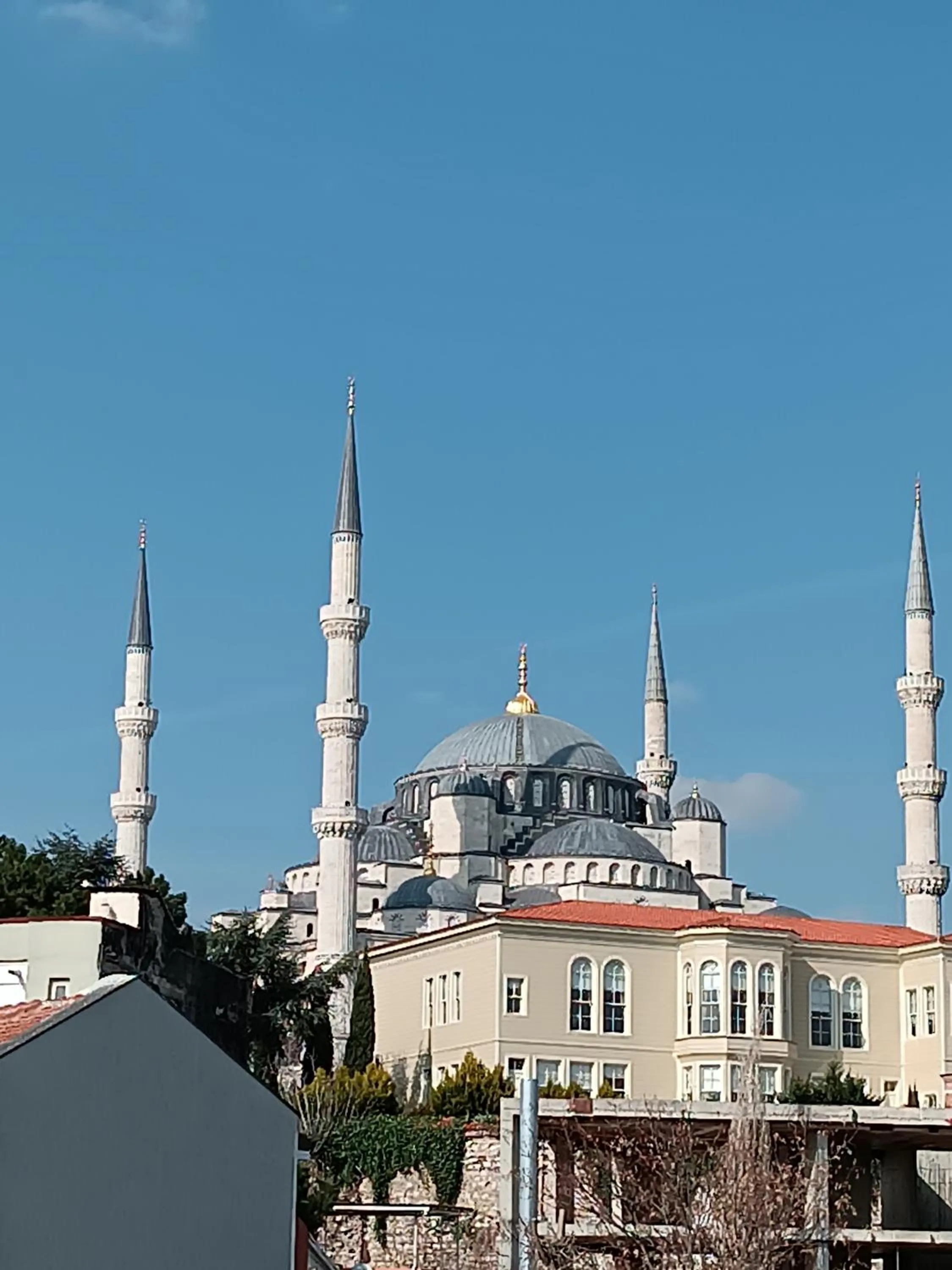 Balcony/Terrace in Little Palace Blue Apartment