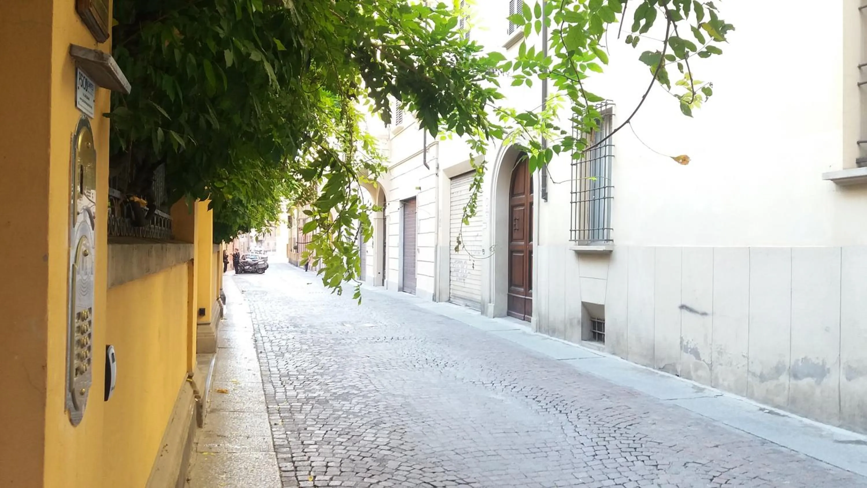 Neighbourhood in Tilia