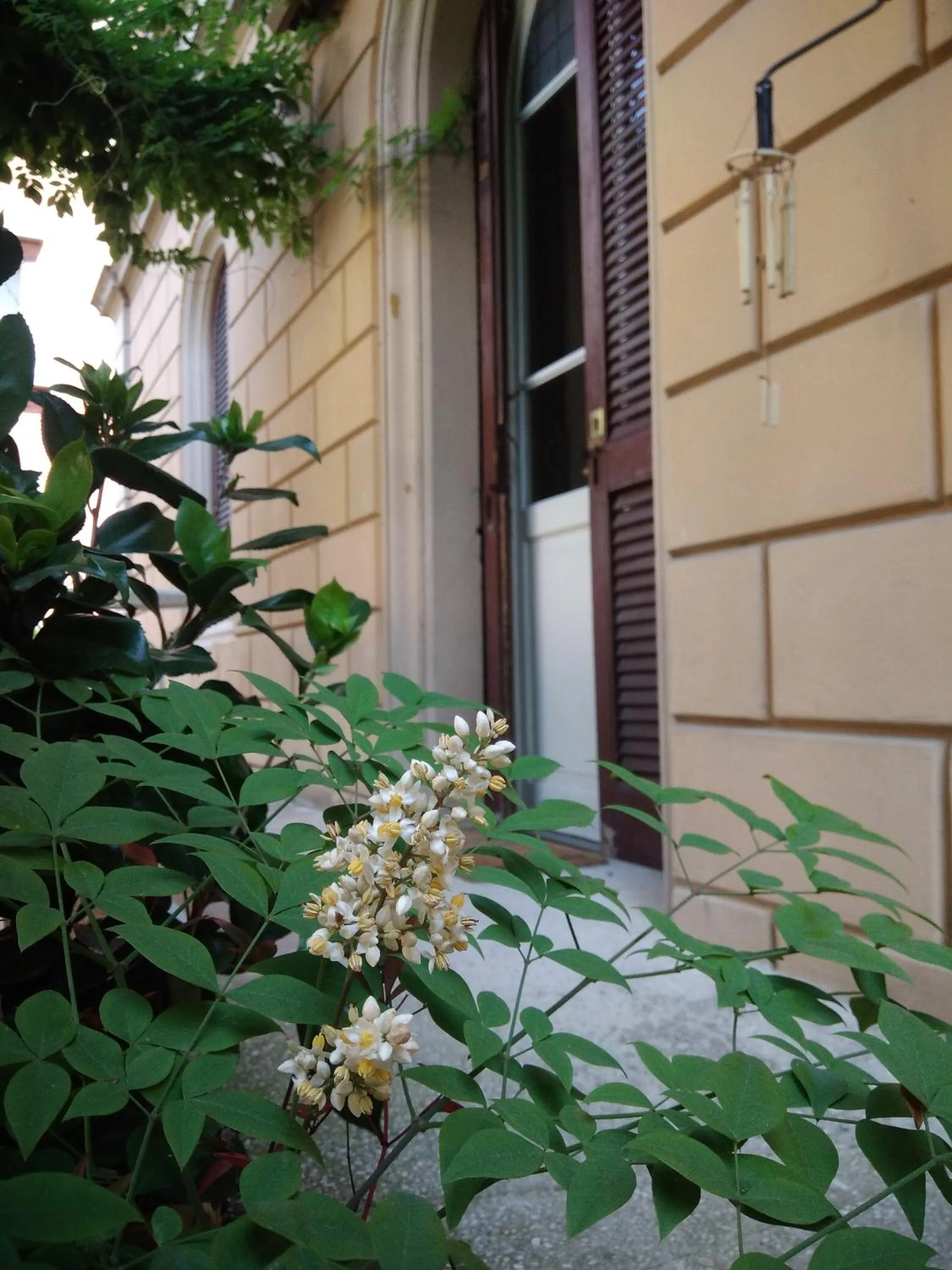 Facade/entrance in Tilia