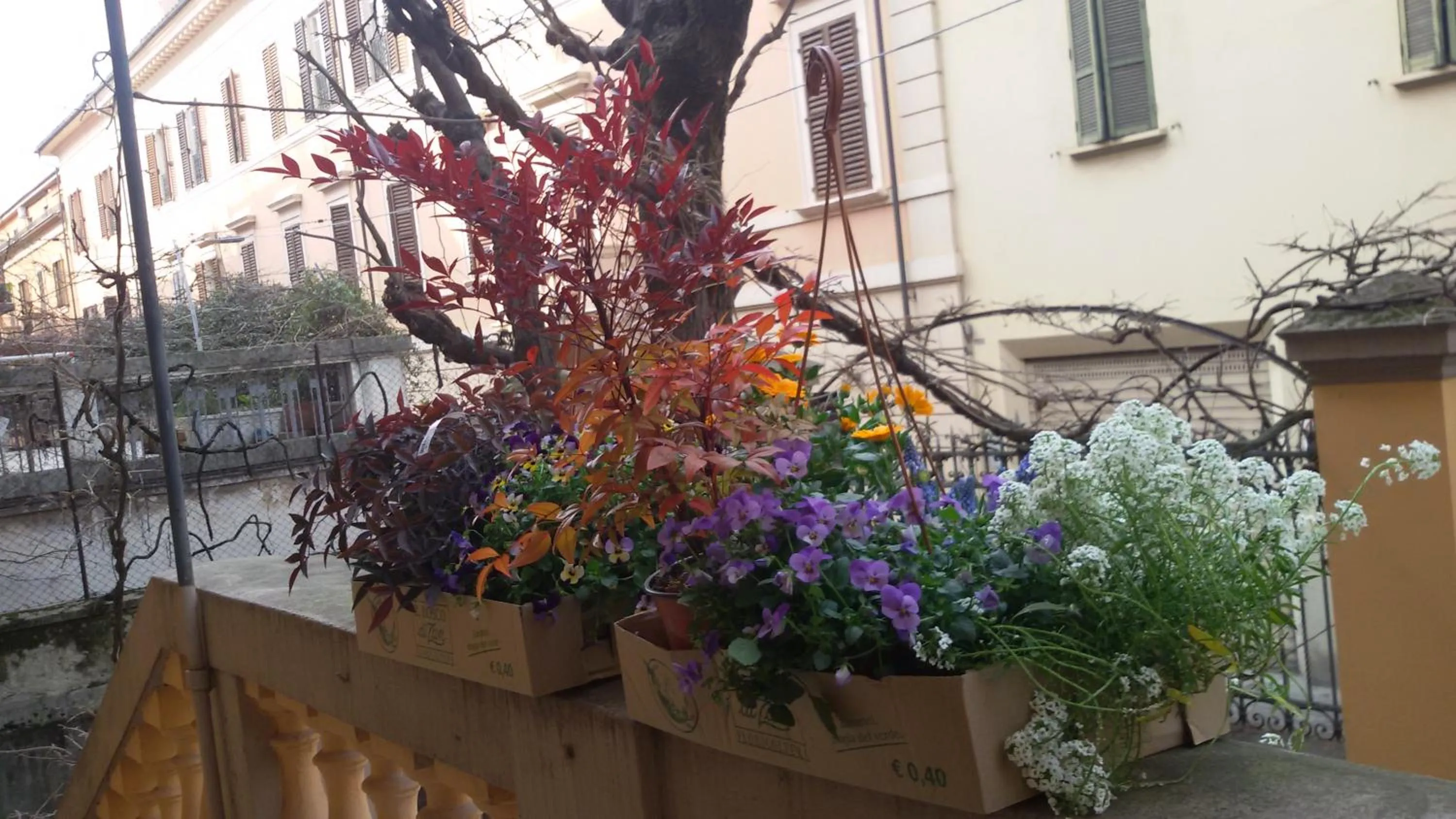 Balcony/Terrace in Tilia