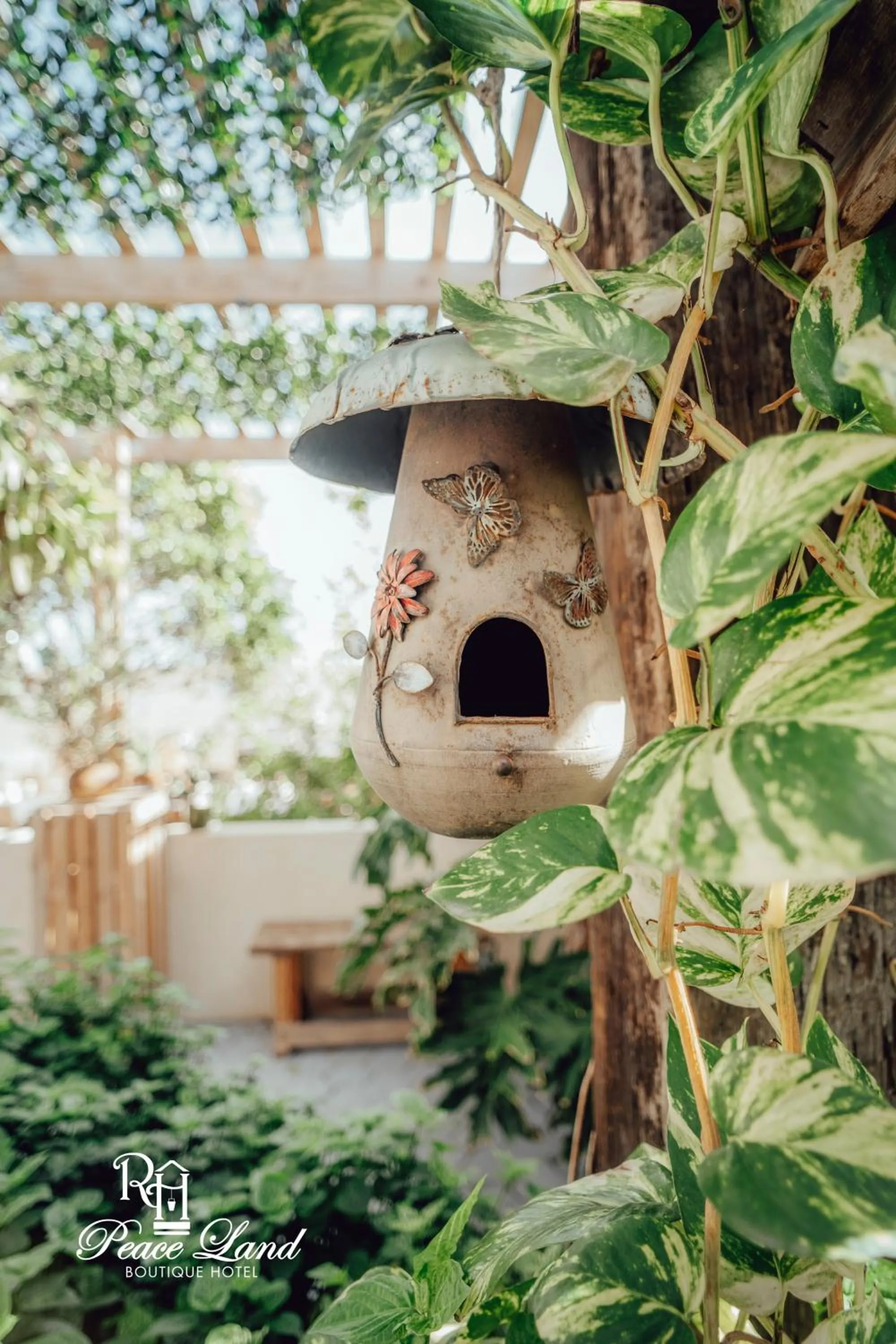 Garden in Hotel RH Boutique Aruba