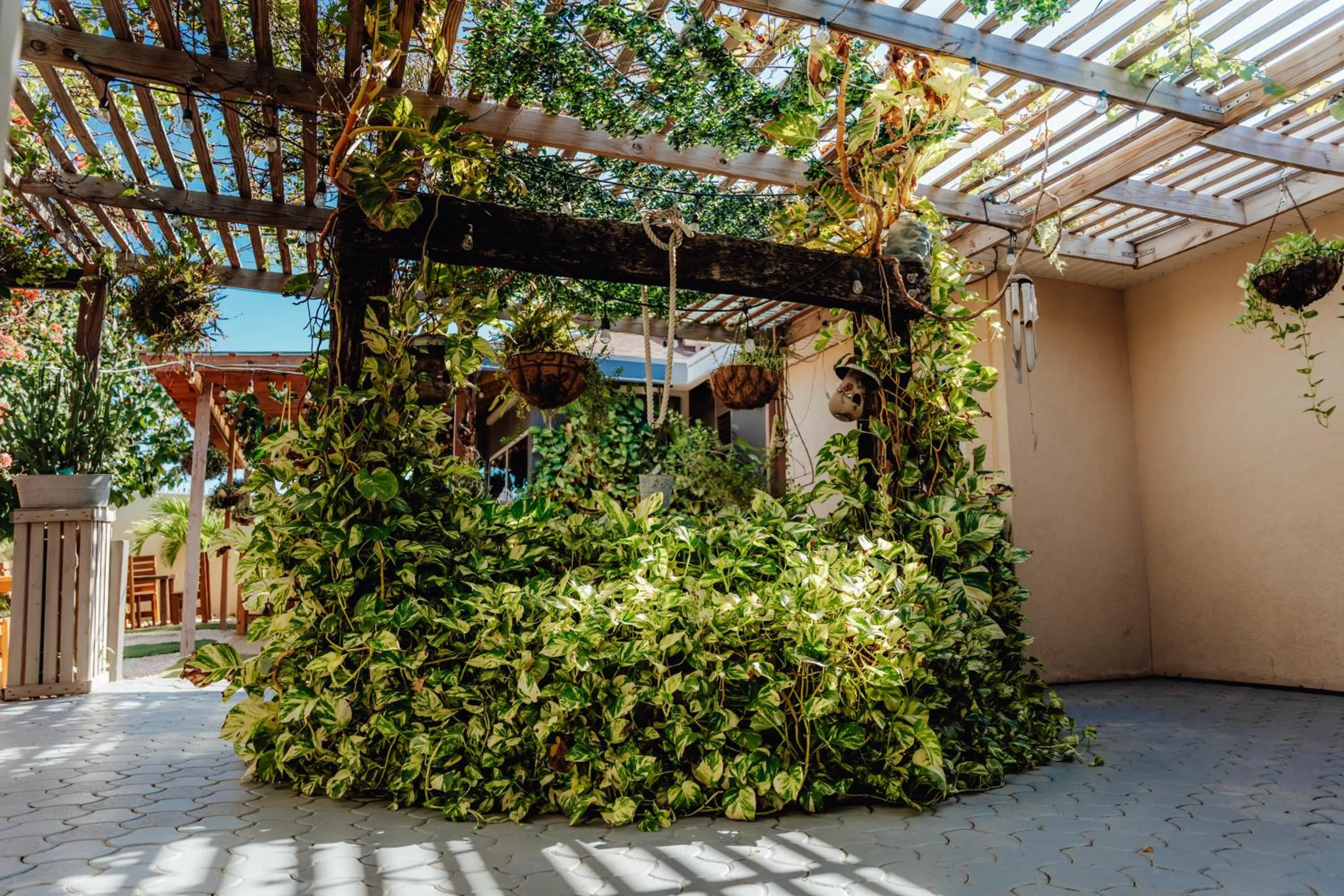 Garden in Hotel RH Boutique Aruba