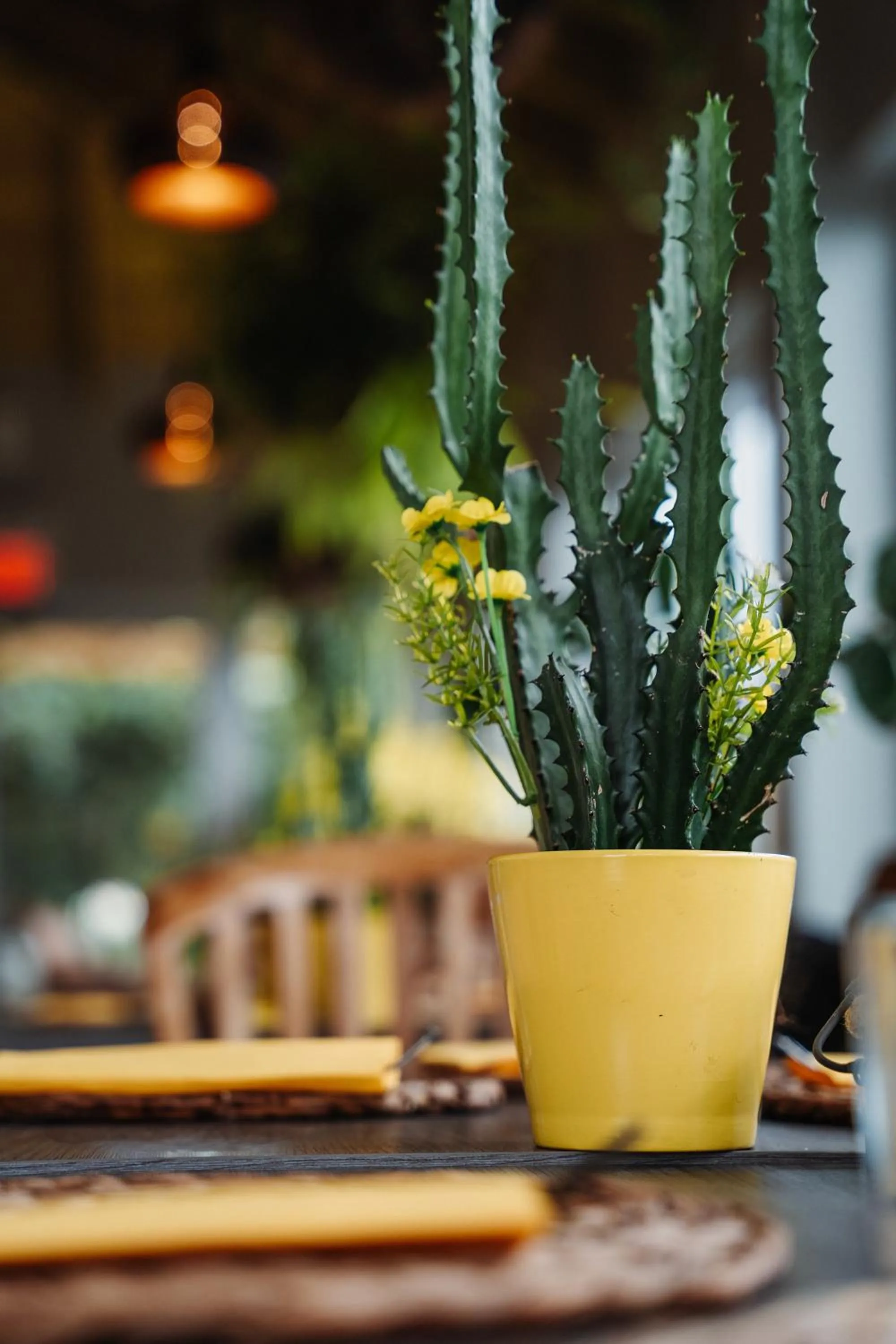 Restaurant/places to eat in Hotel RH Boutique Aruba