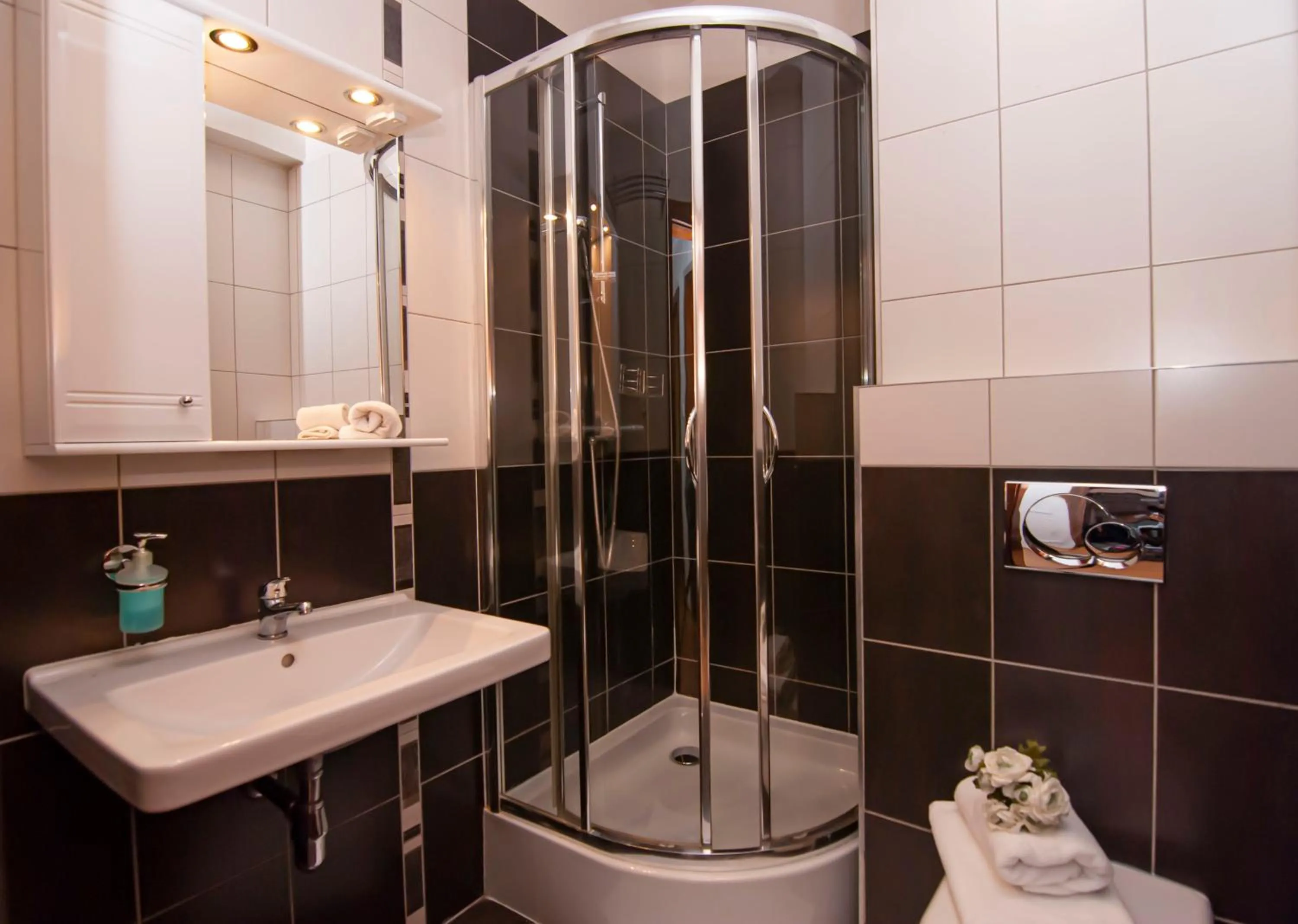 Shower in Apartmany Sileas