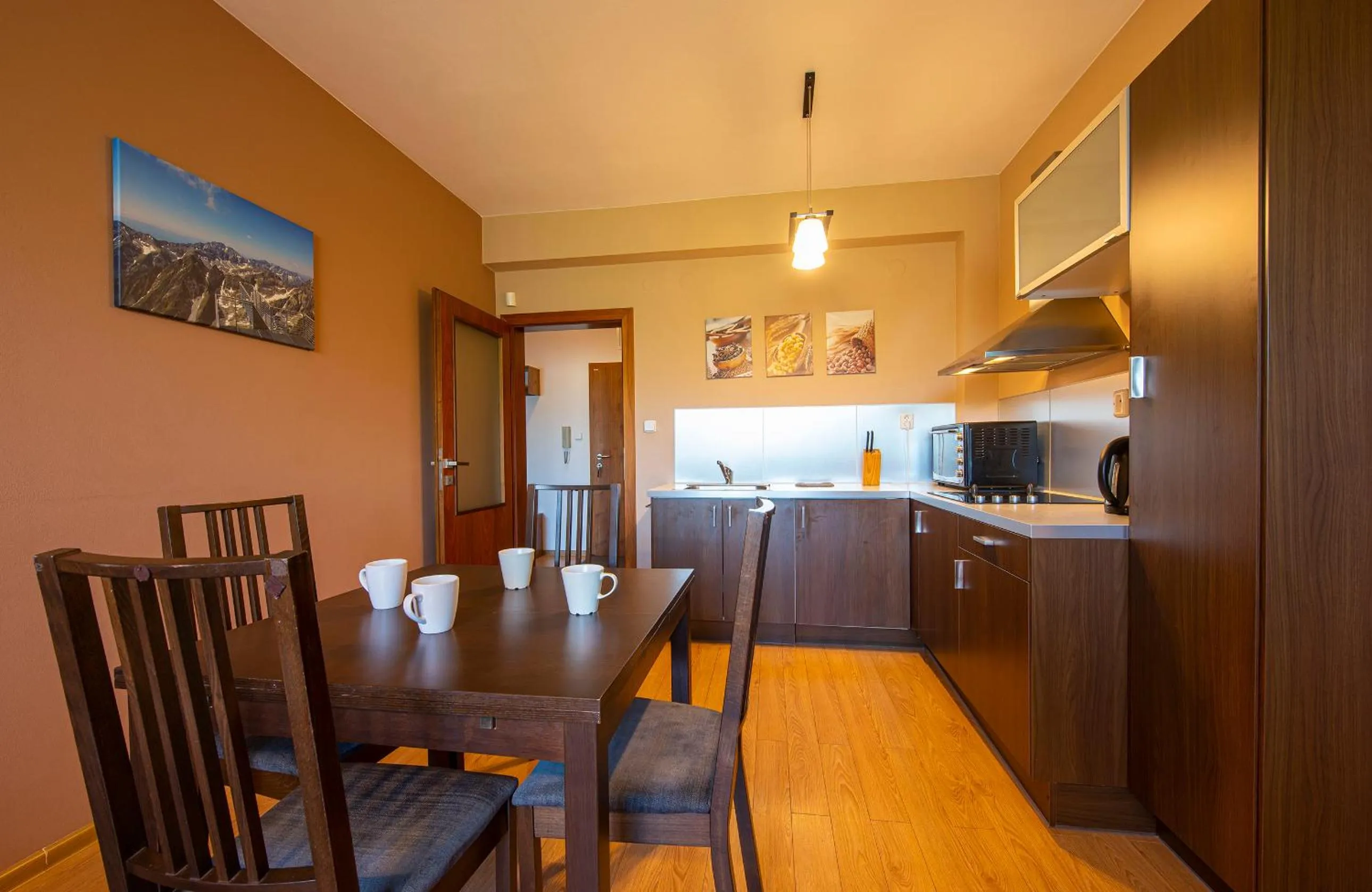 kitchen in Apartmany Sileas