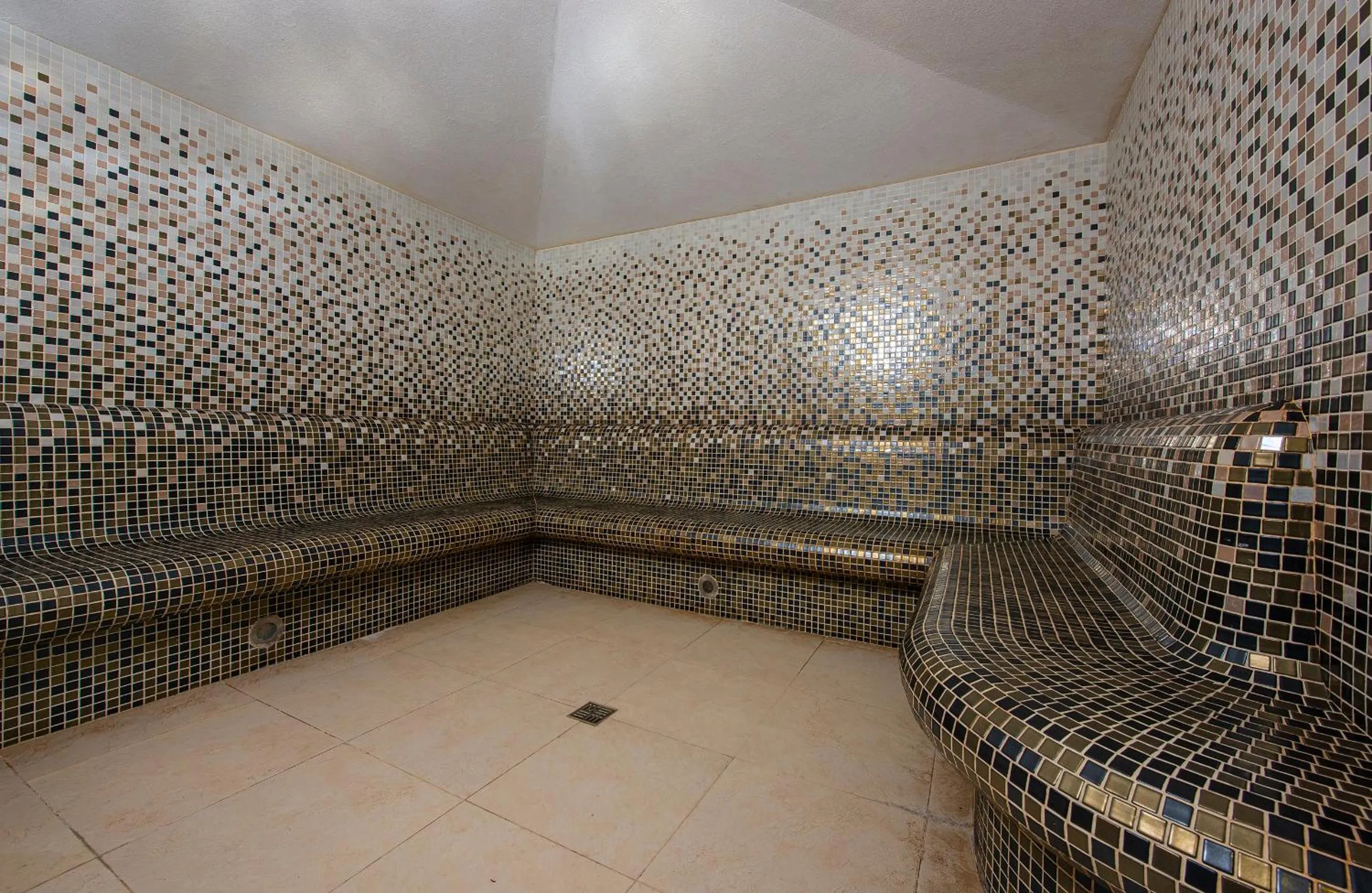 Steam room in Apartmany Sileas