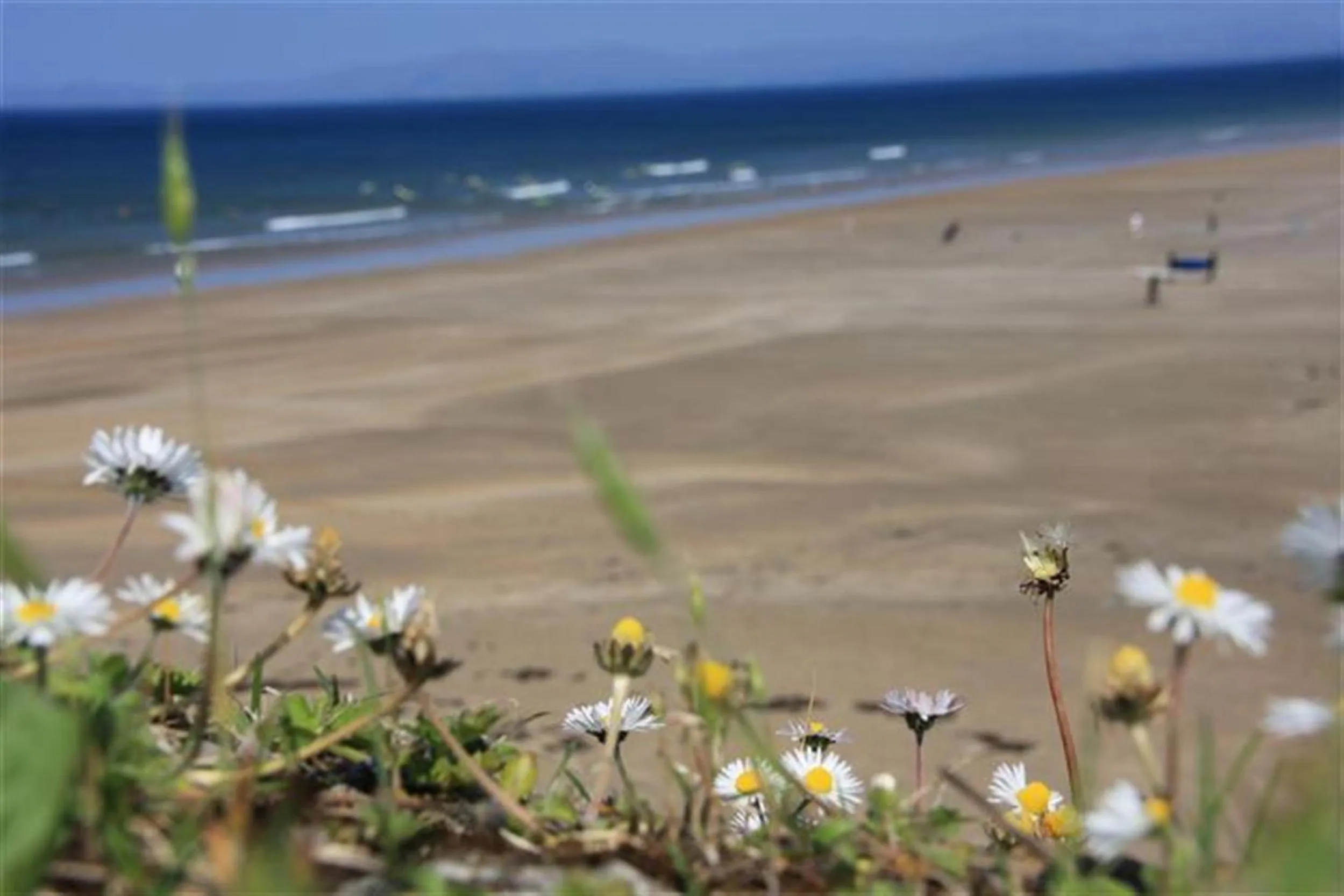 Summer in Rougey Lodge Hostel