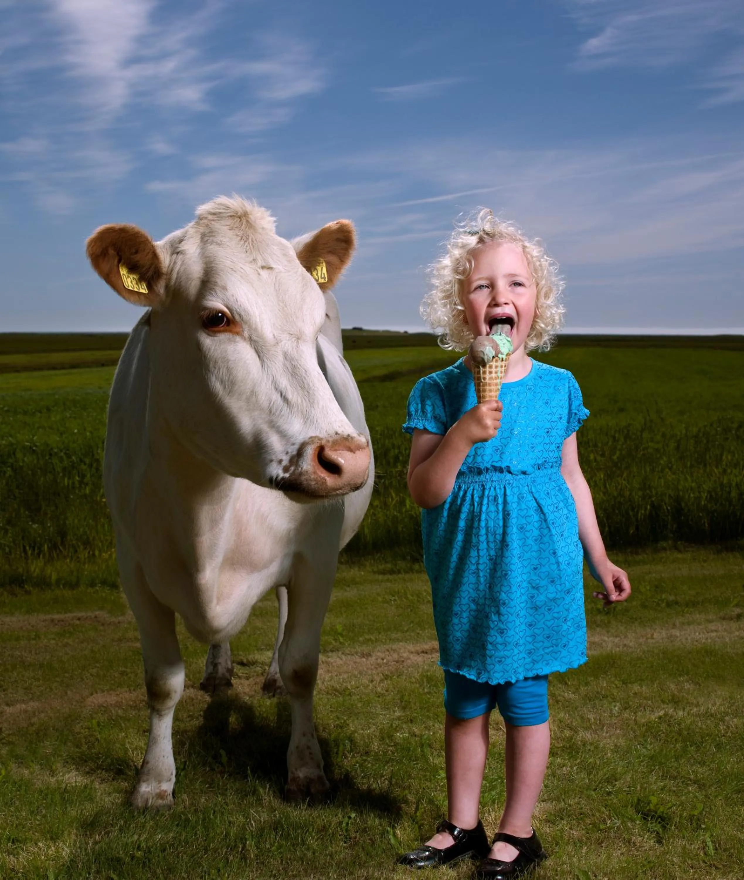 Restaurant/places to eat in Brunnholl Country Guesthouse