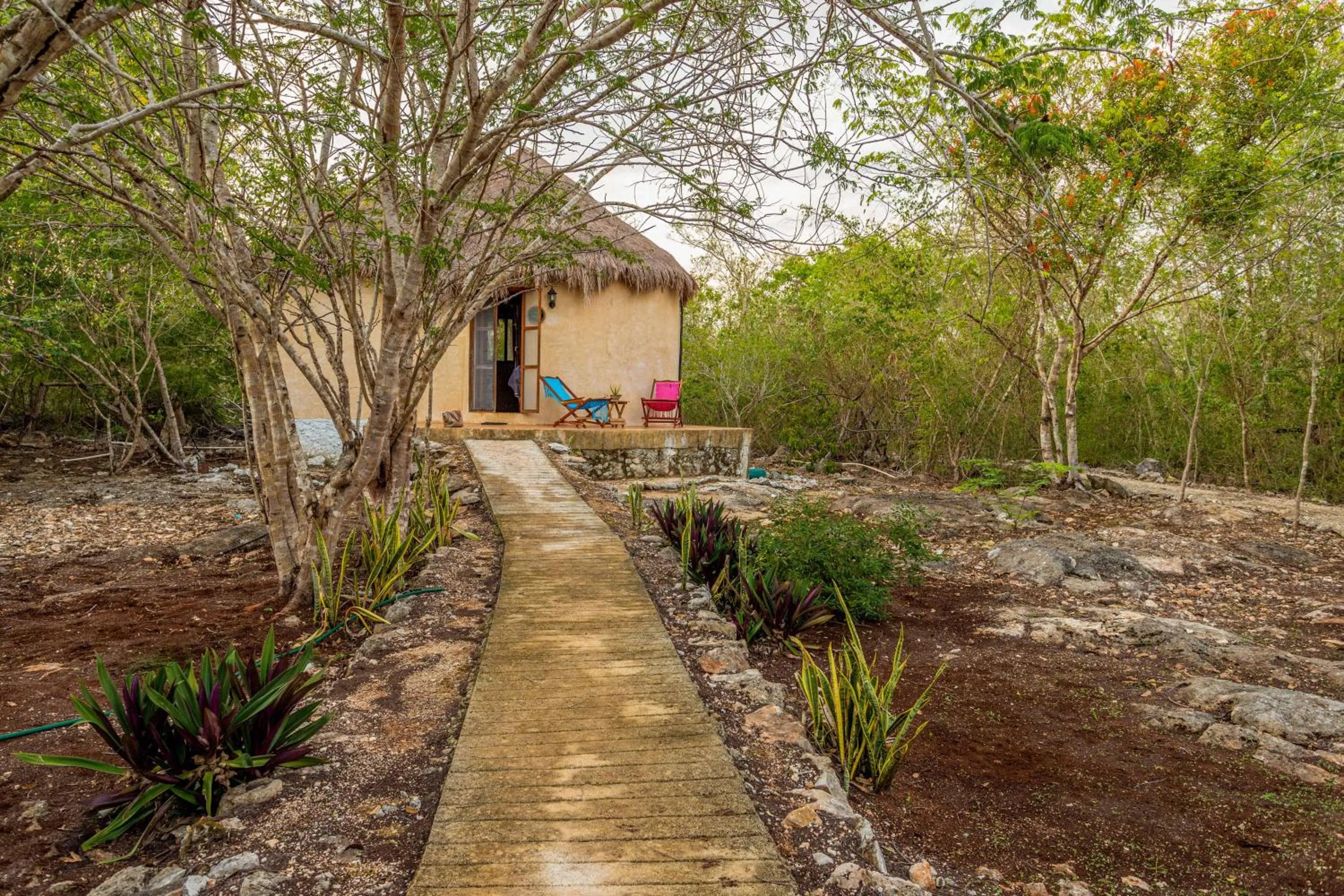 View (from property/room) in Cabañas Santa Cruz Homún