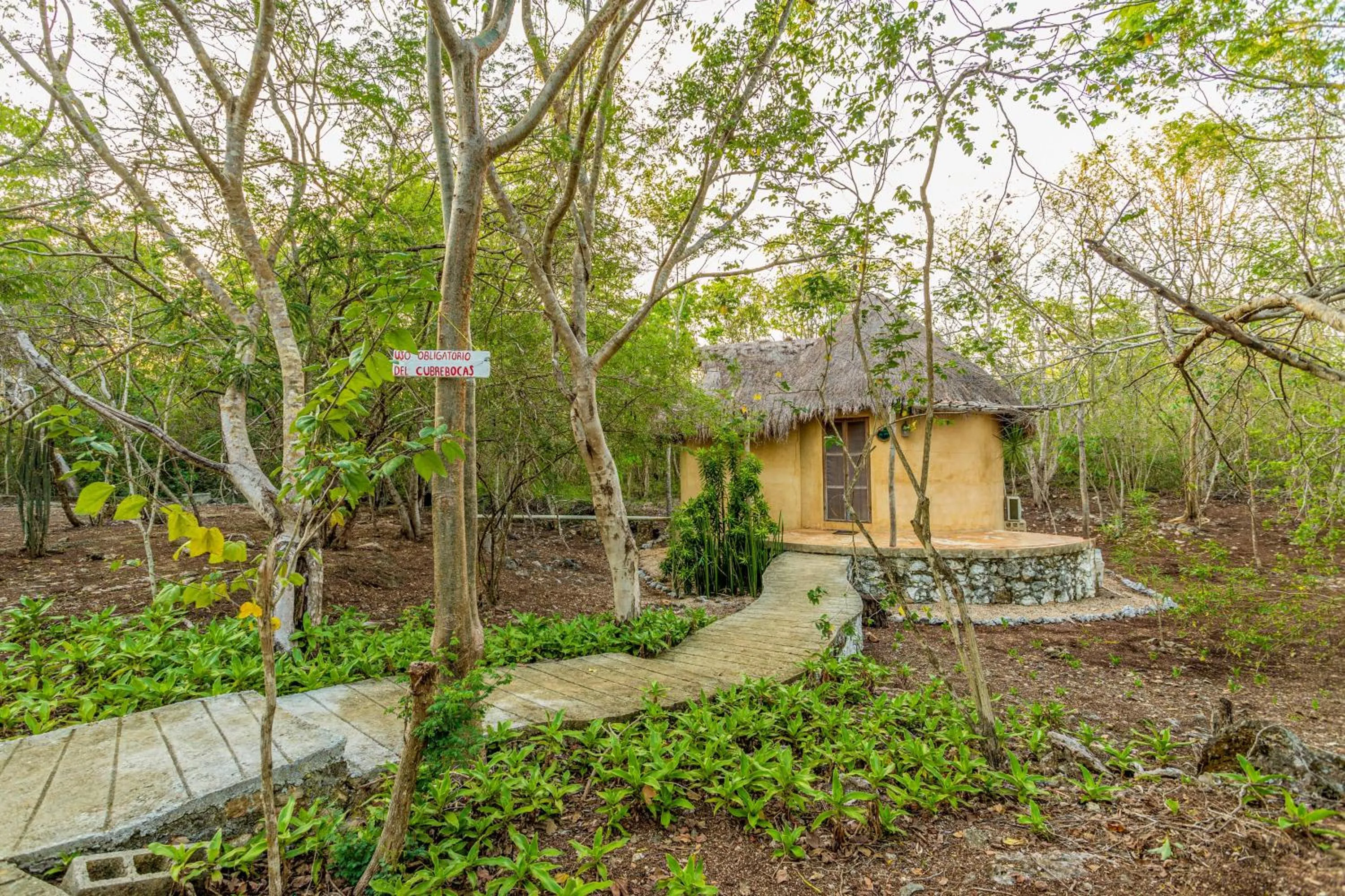 Property building in Cabañas Santa Cruz Homún