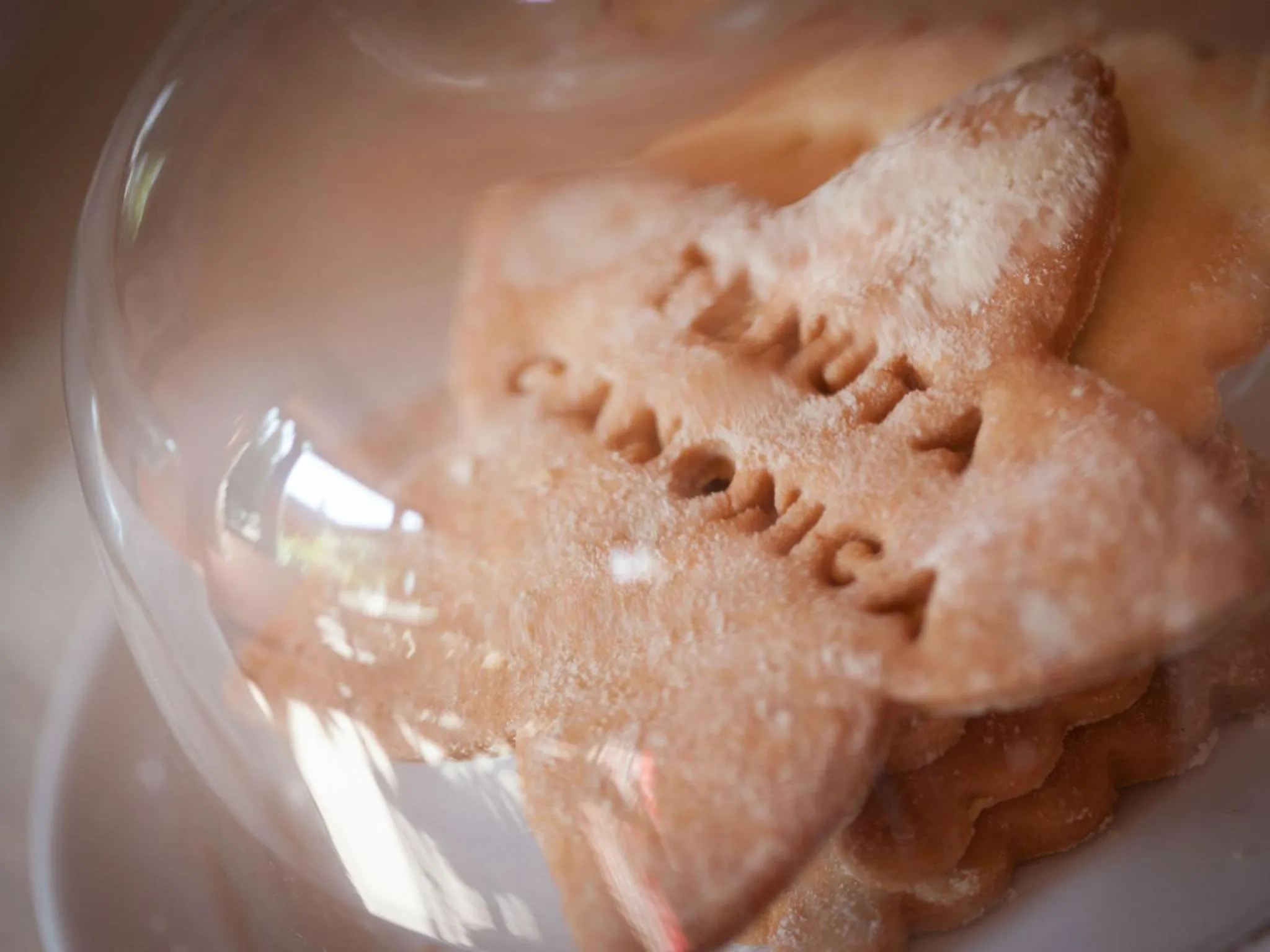 Food close-up in Tenuta Di Canonica