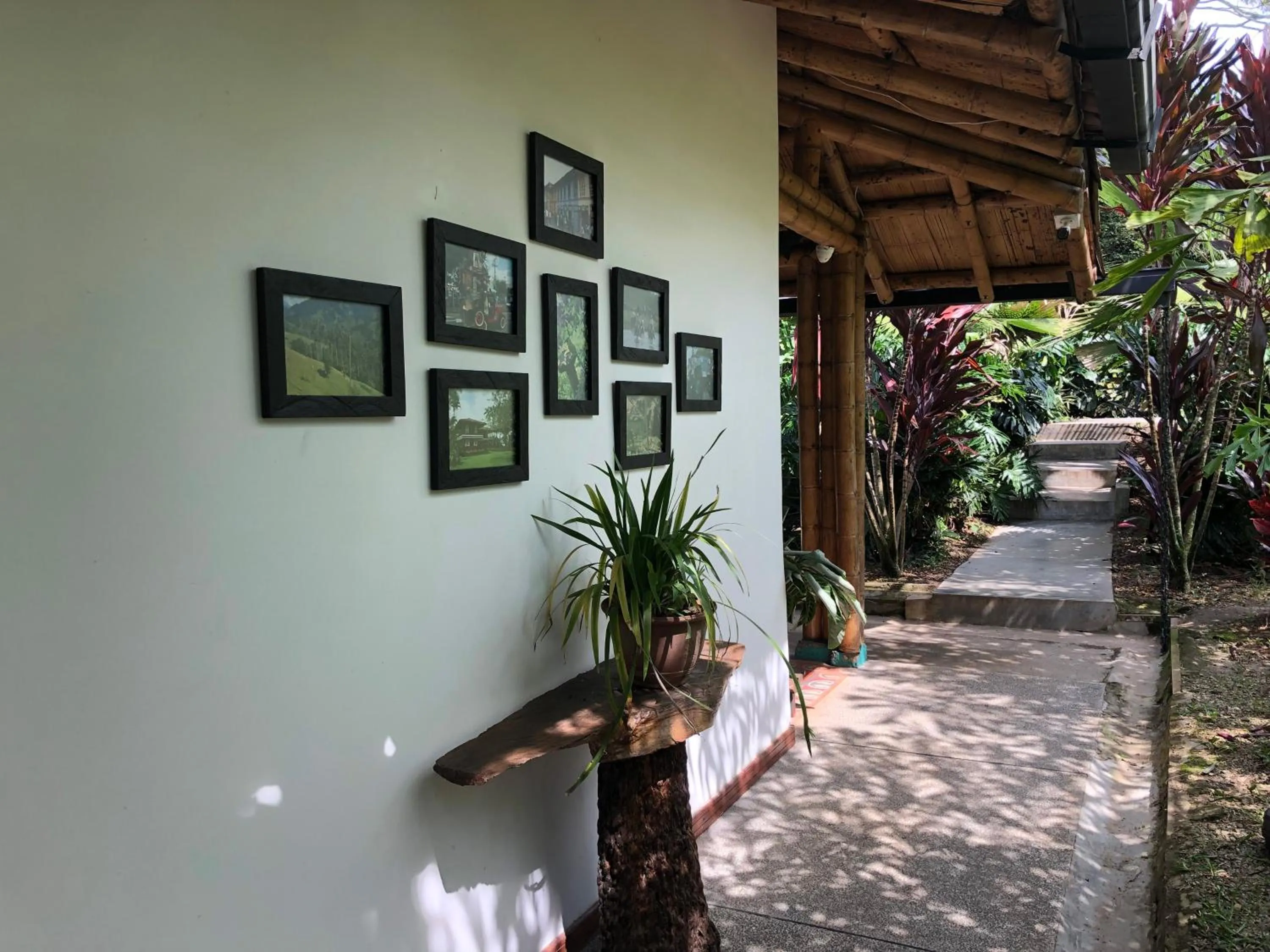 Day in Finca Hotel Brasilia