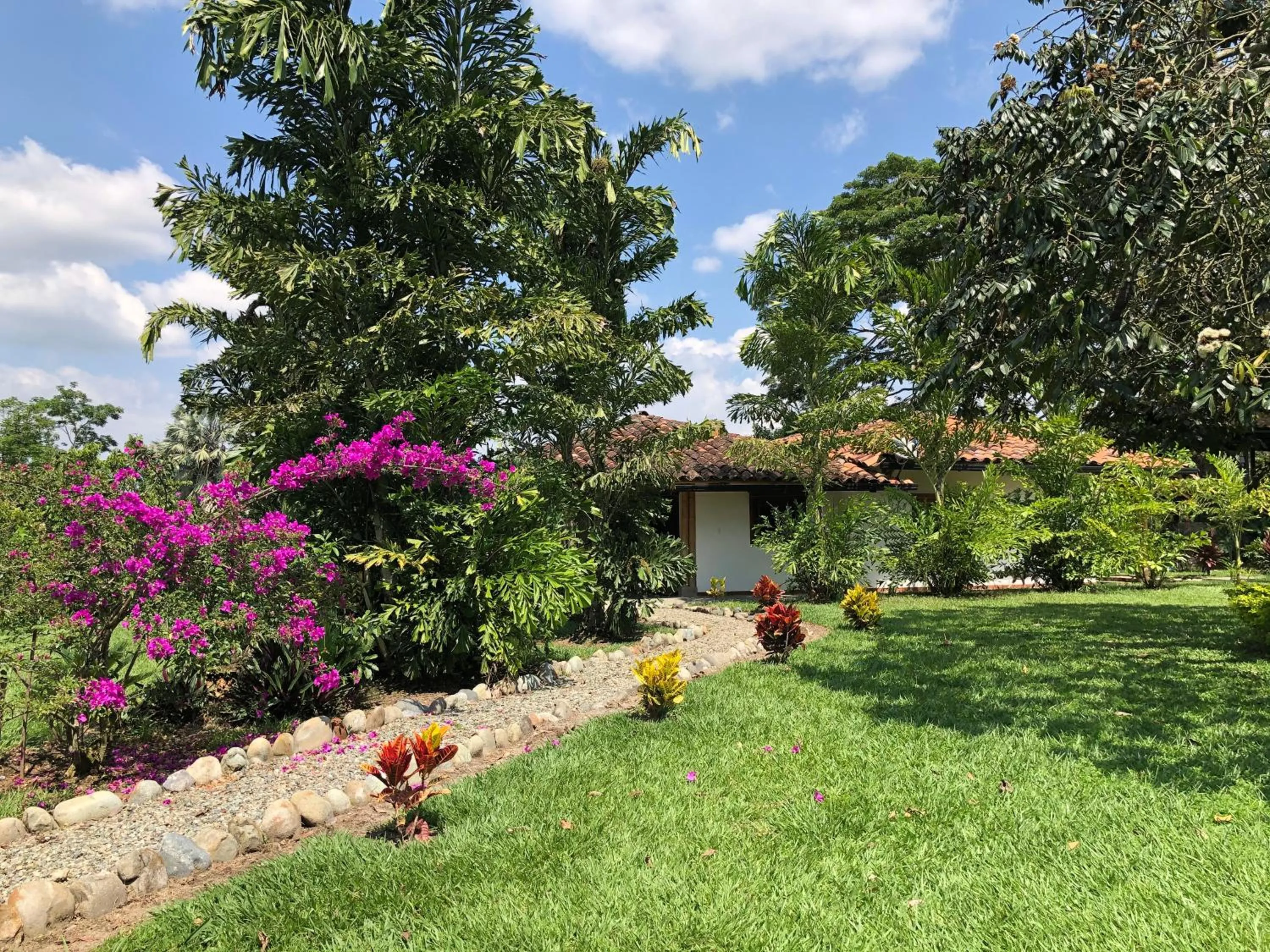 Garden in Finca Hotel Brasilia