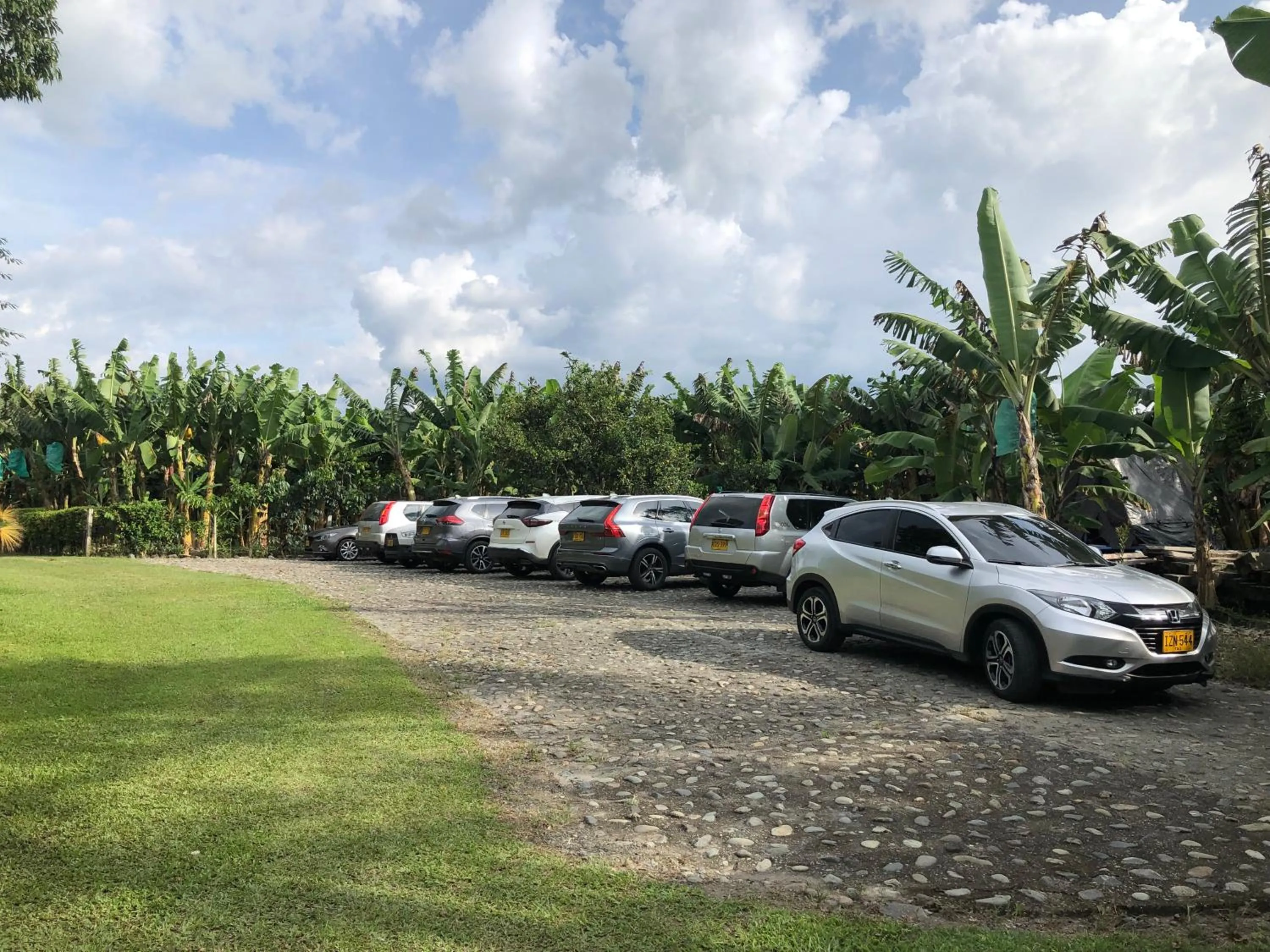 Spring in Finca Hotel Brasilia