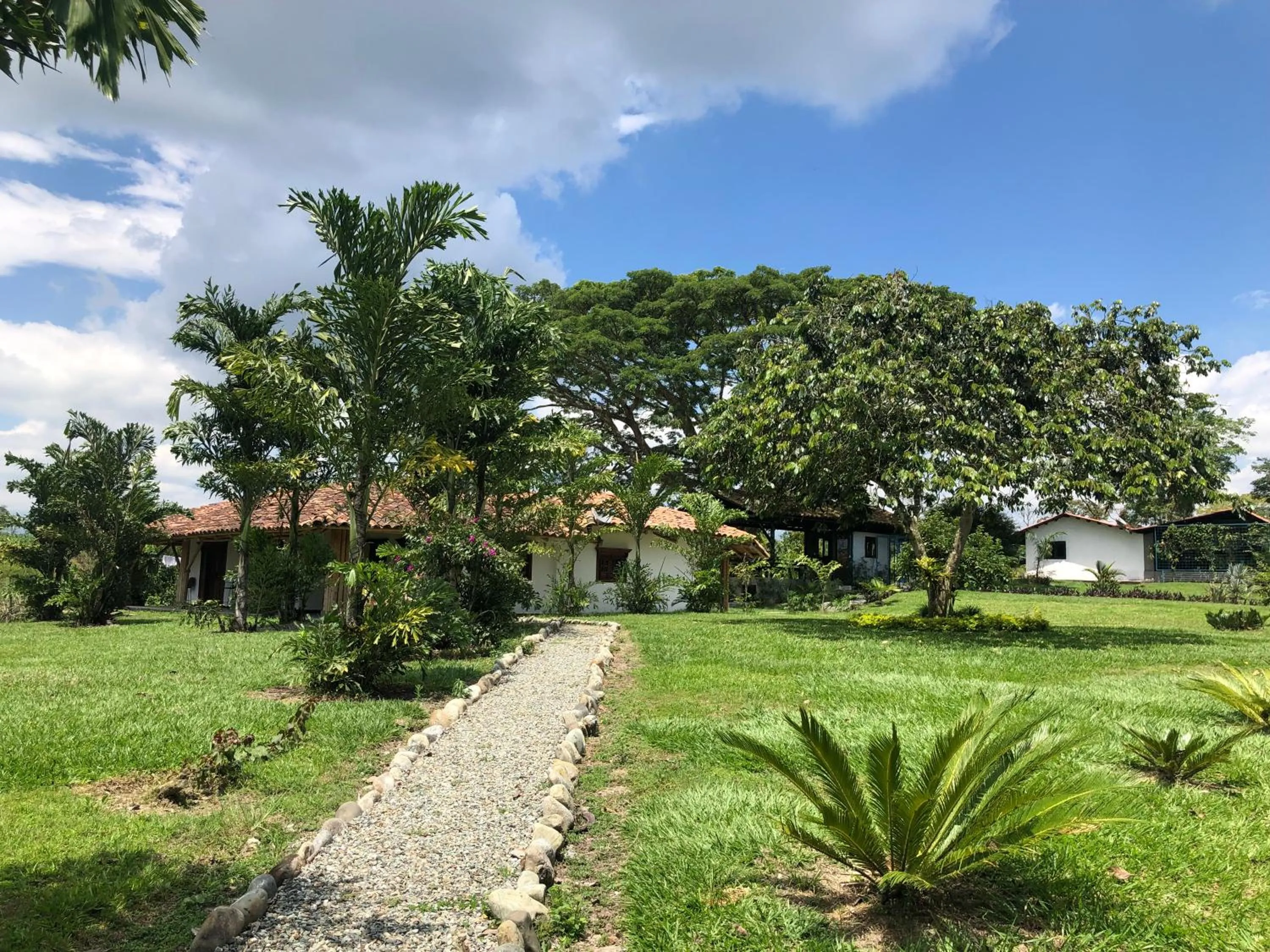 Garden in Finca Hotel Brasilia