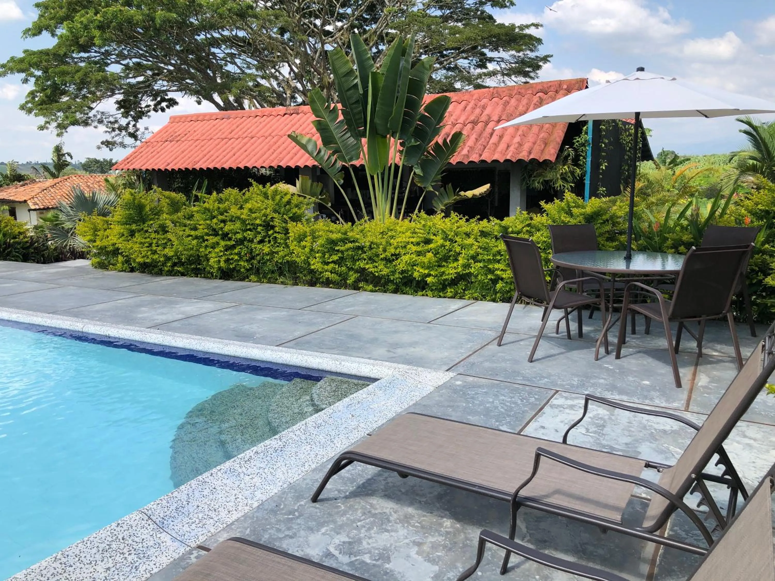 Pool view in Finca Hotel Brasilia