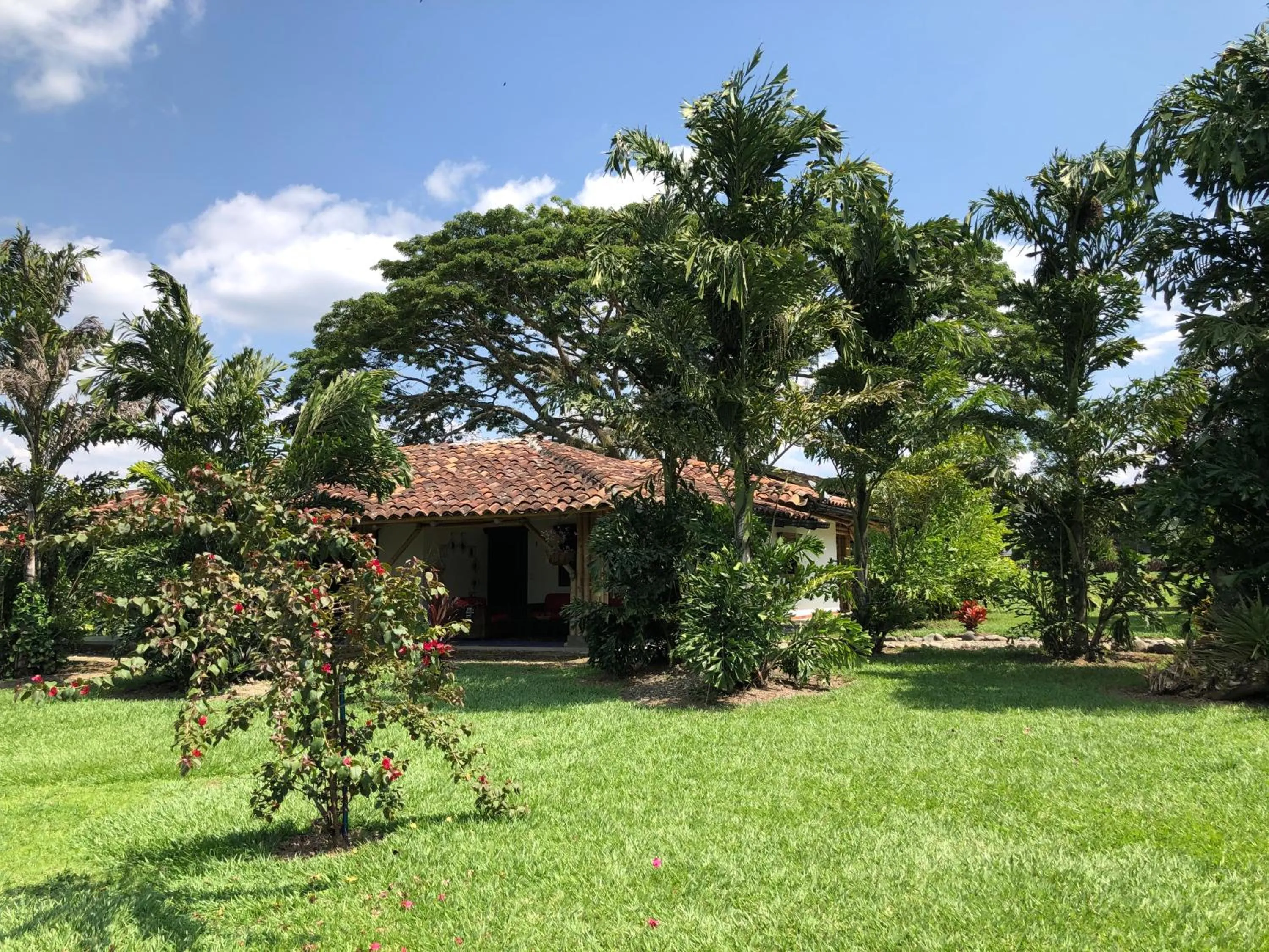 Property building in Finca Hotel Brasilia