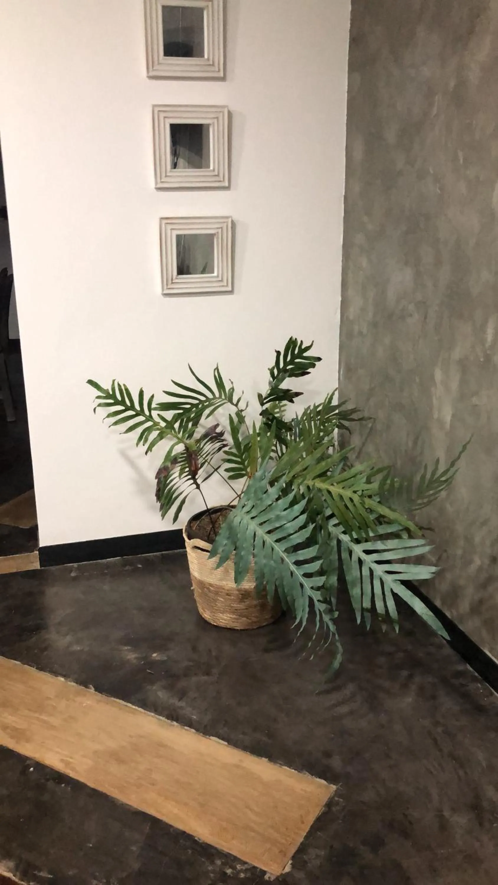 Photo of the whole room in Finca Hotel Brasilia