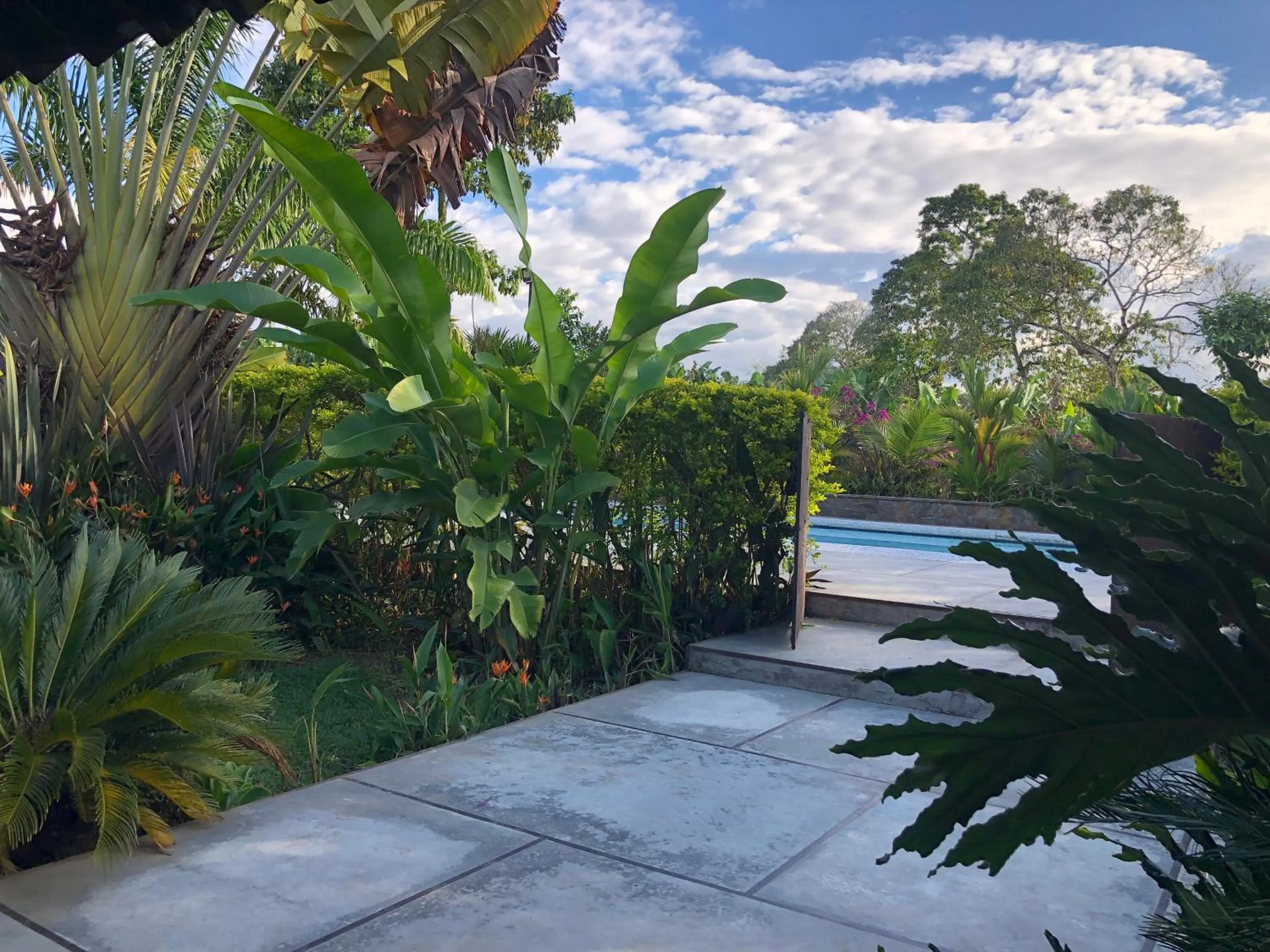 Swimming pool in Finca Hotel Brasilia