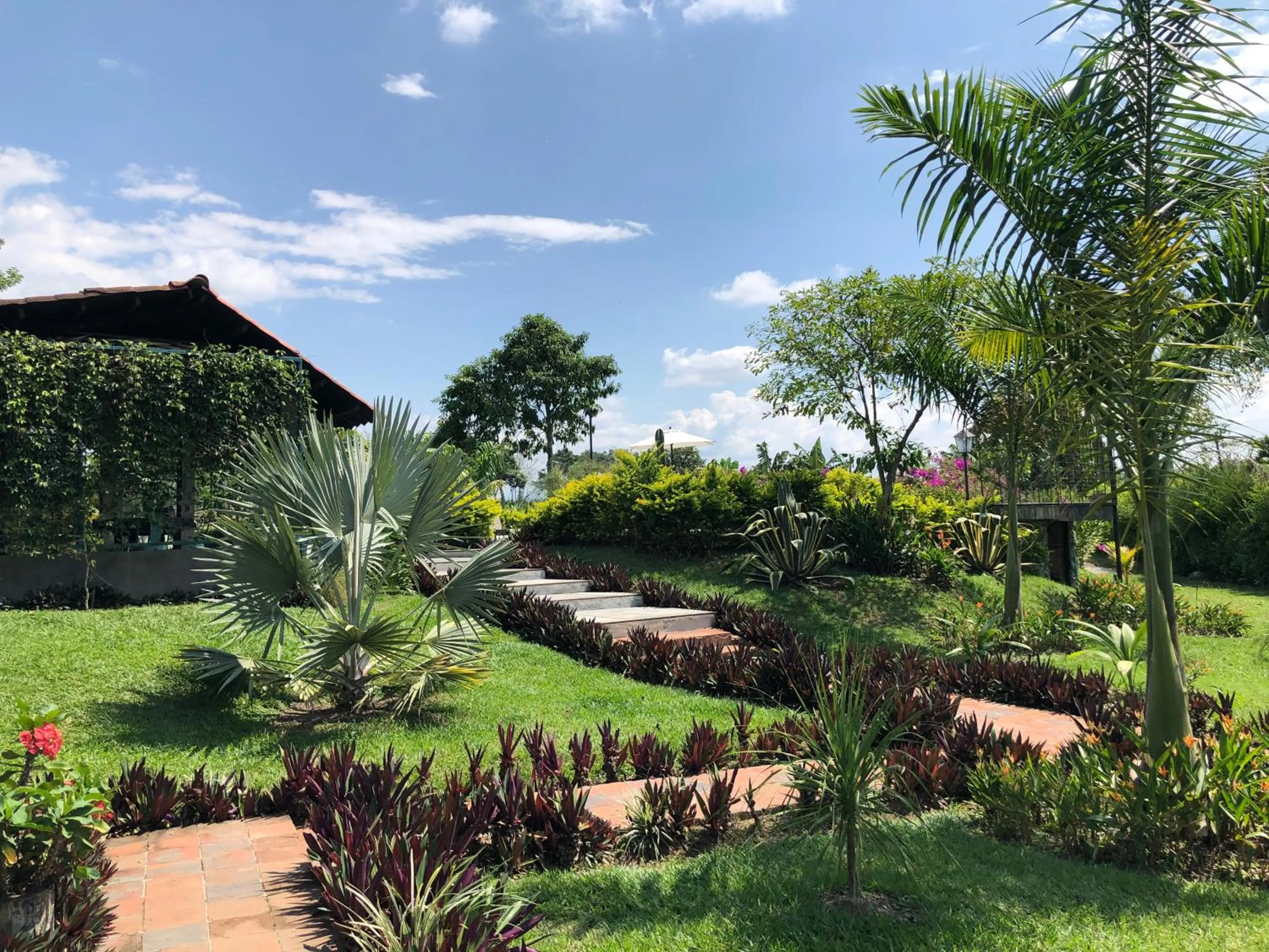 Garden in Finca Hotel Brasilia