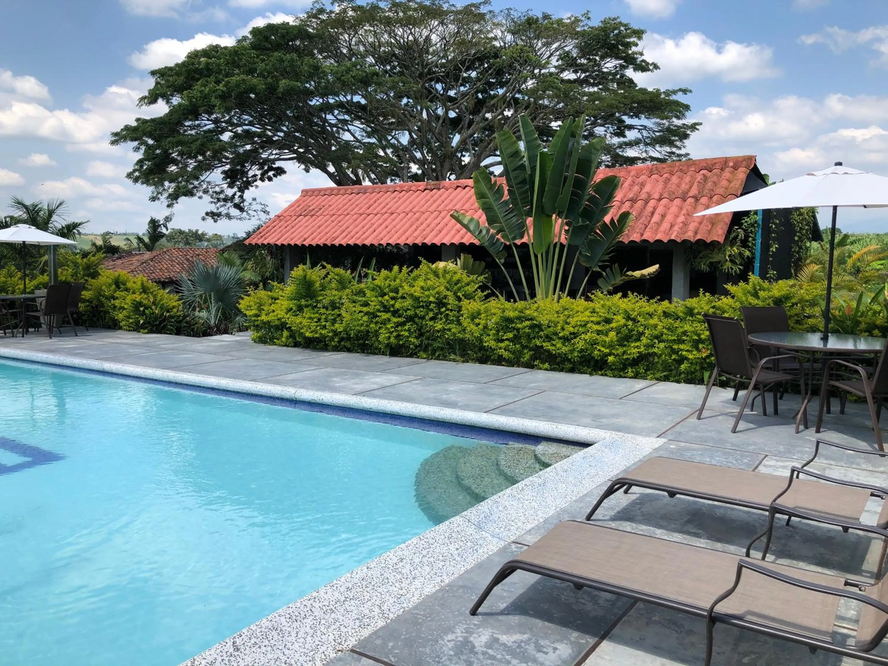Pool view in Finca Hotel Brasilia
