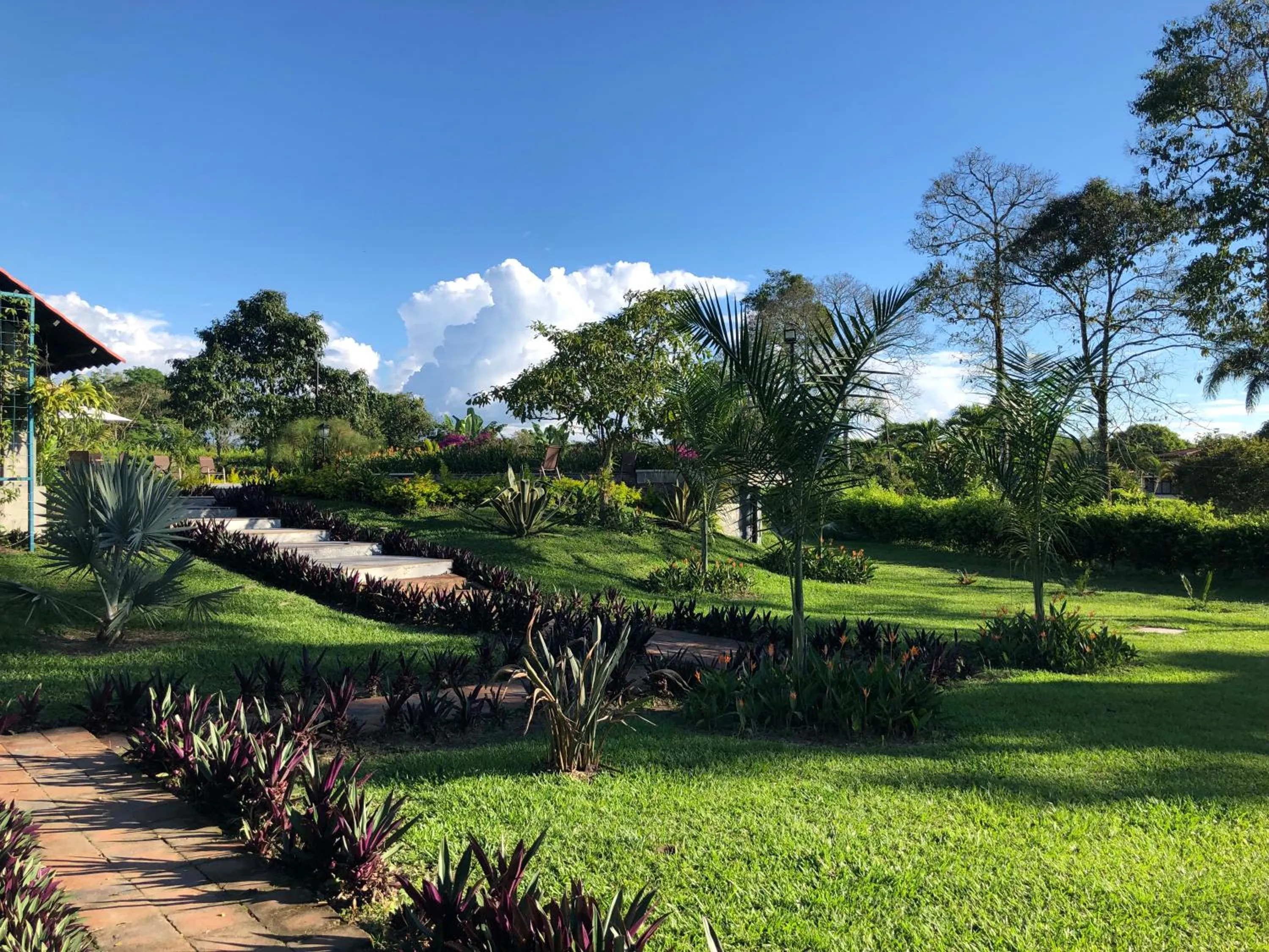 Natural landscape in Finca Hotel Brasilia