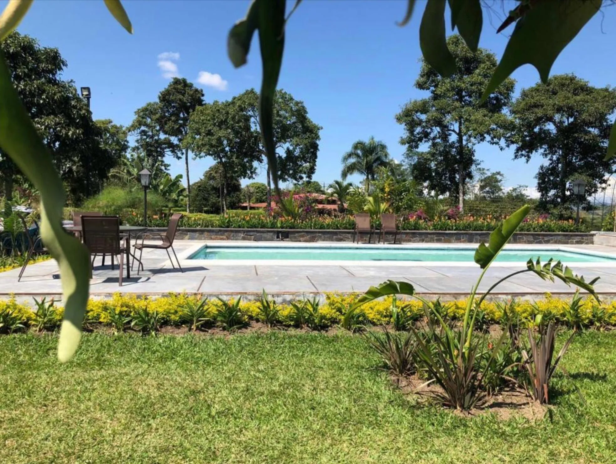 Garden in Finca Hotel Brasilia