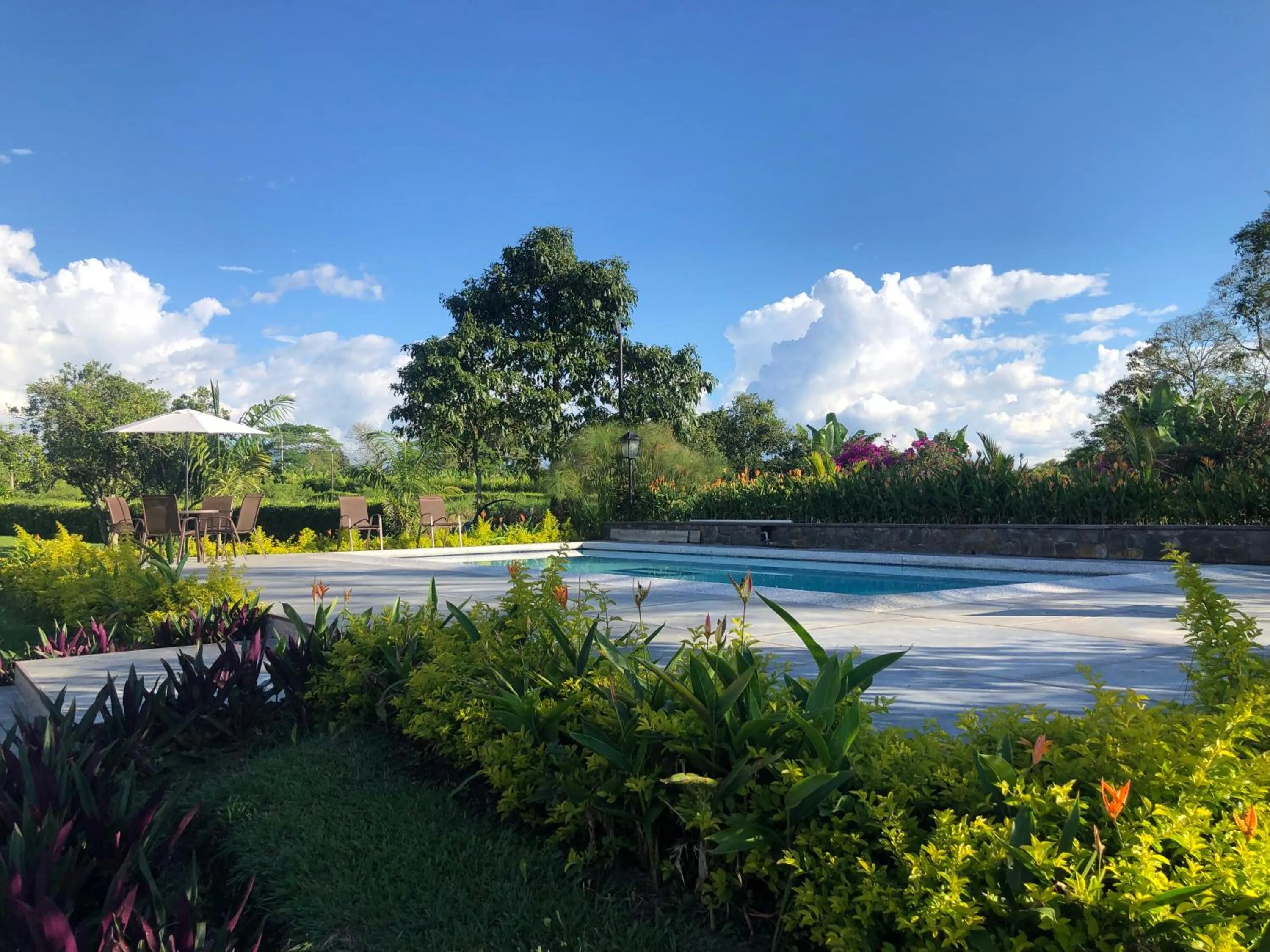 Garden in Finca Hotel Brasilia