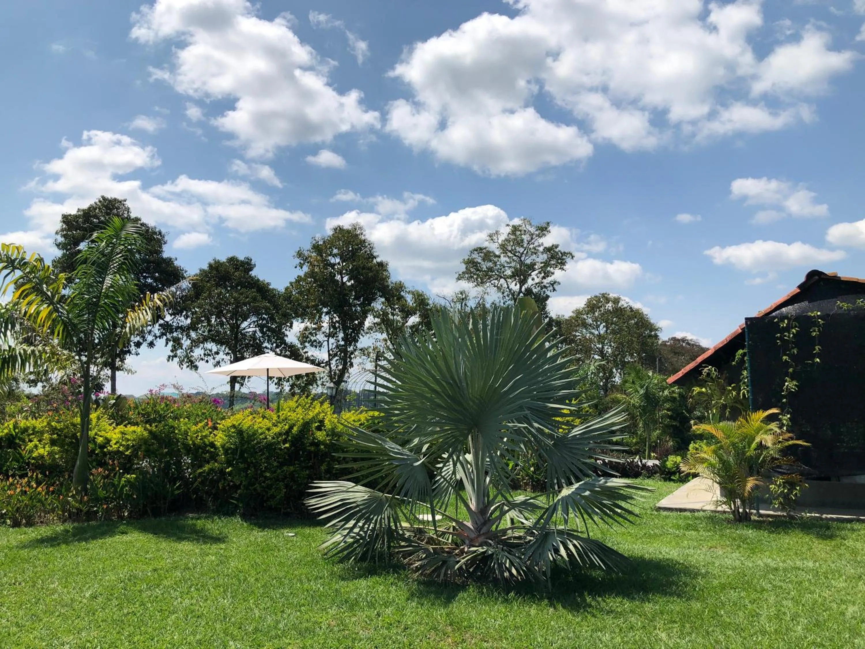 Garden in Finca Hotel Brasilia