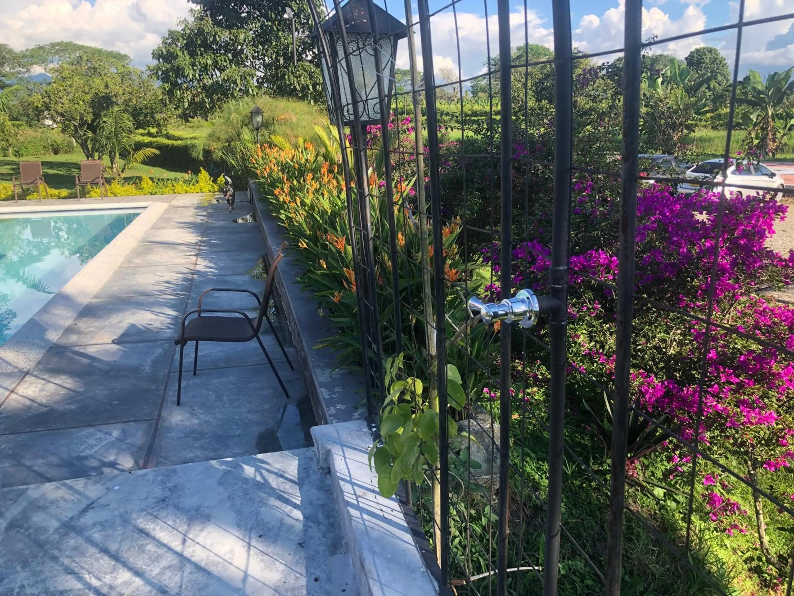 Garden view in Finca Hotel Brasilia