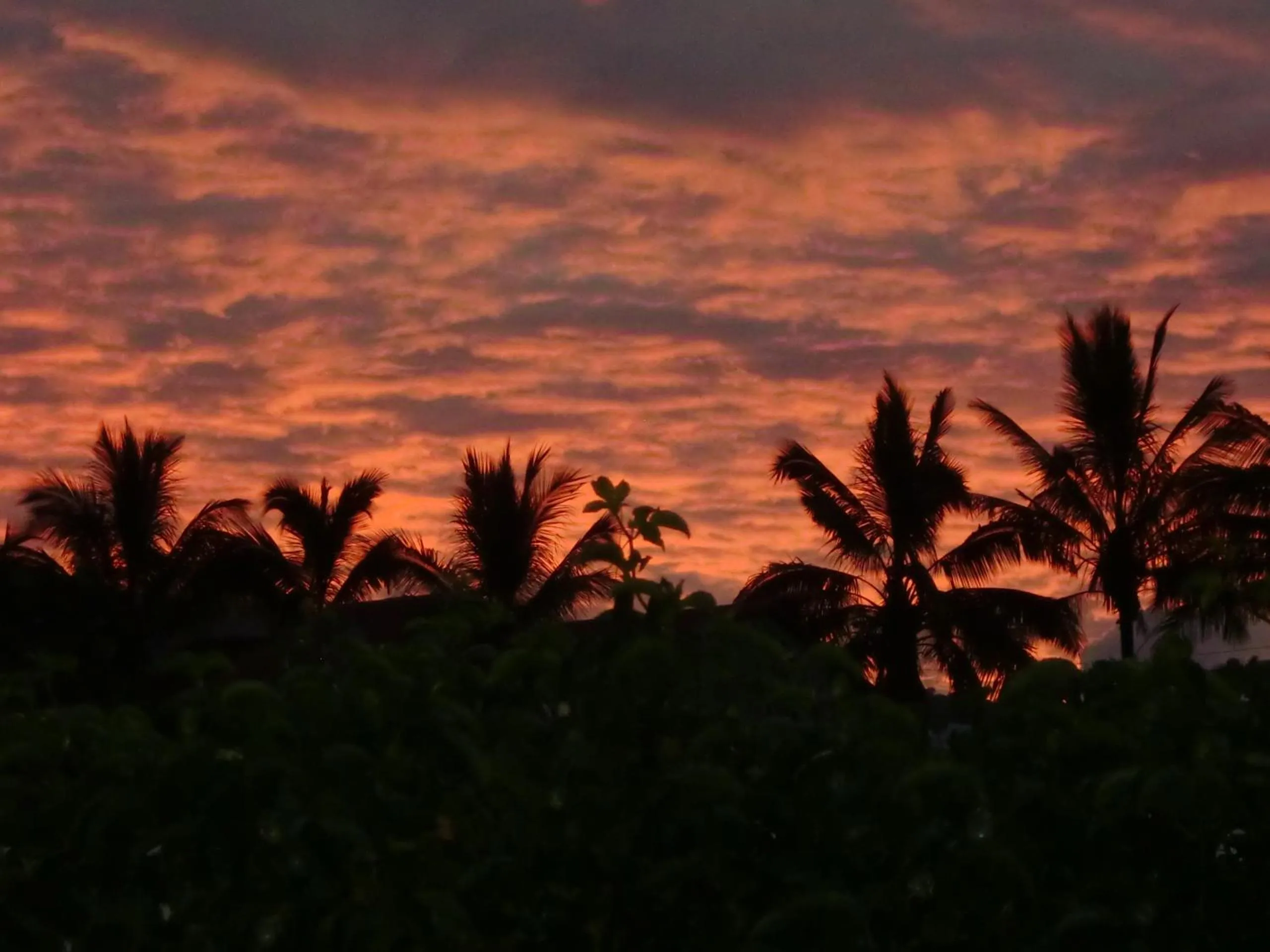 Garden view in Villa Ambralini