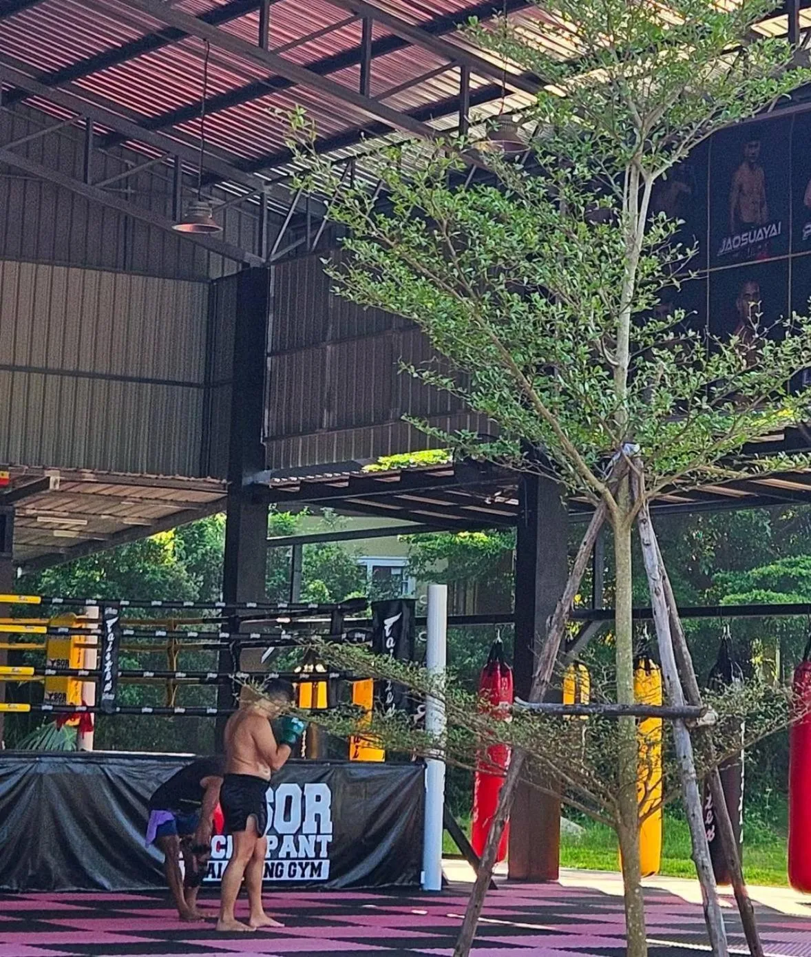 Activities in March Samui Resort