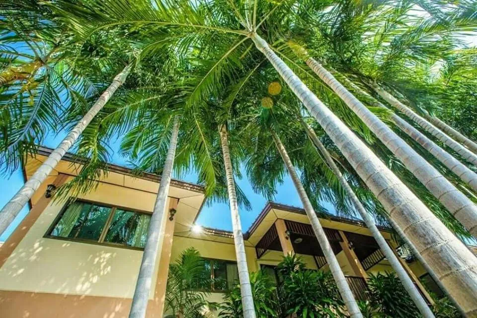 Garden view in Meewaya Hotel