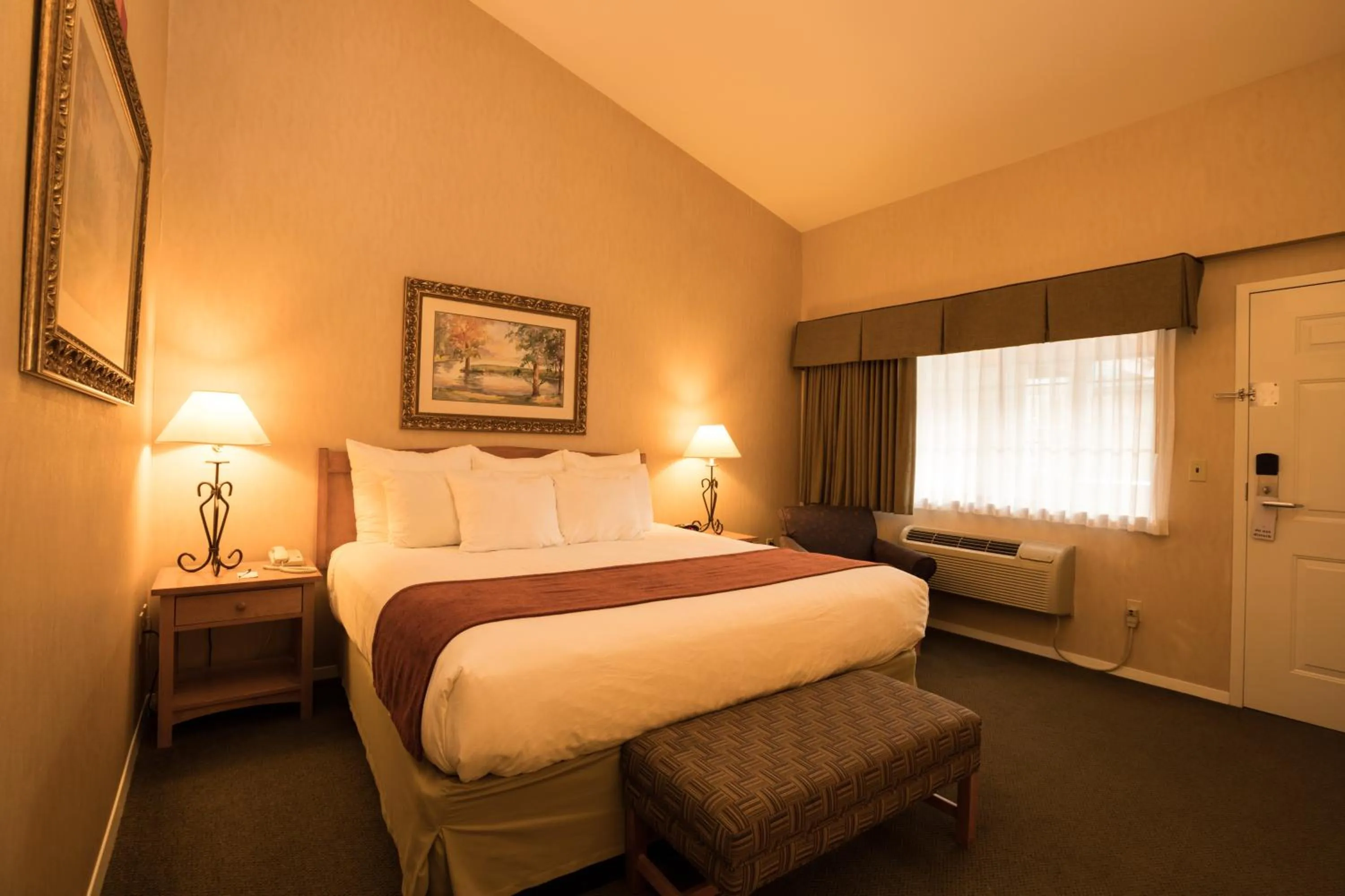 Deluxe King Suite in Lakeside Lodge and Suites