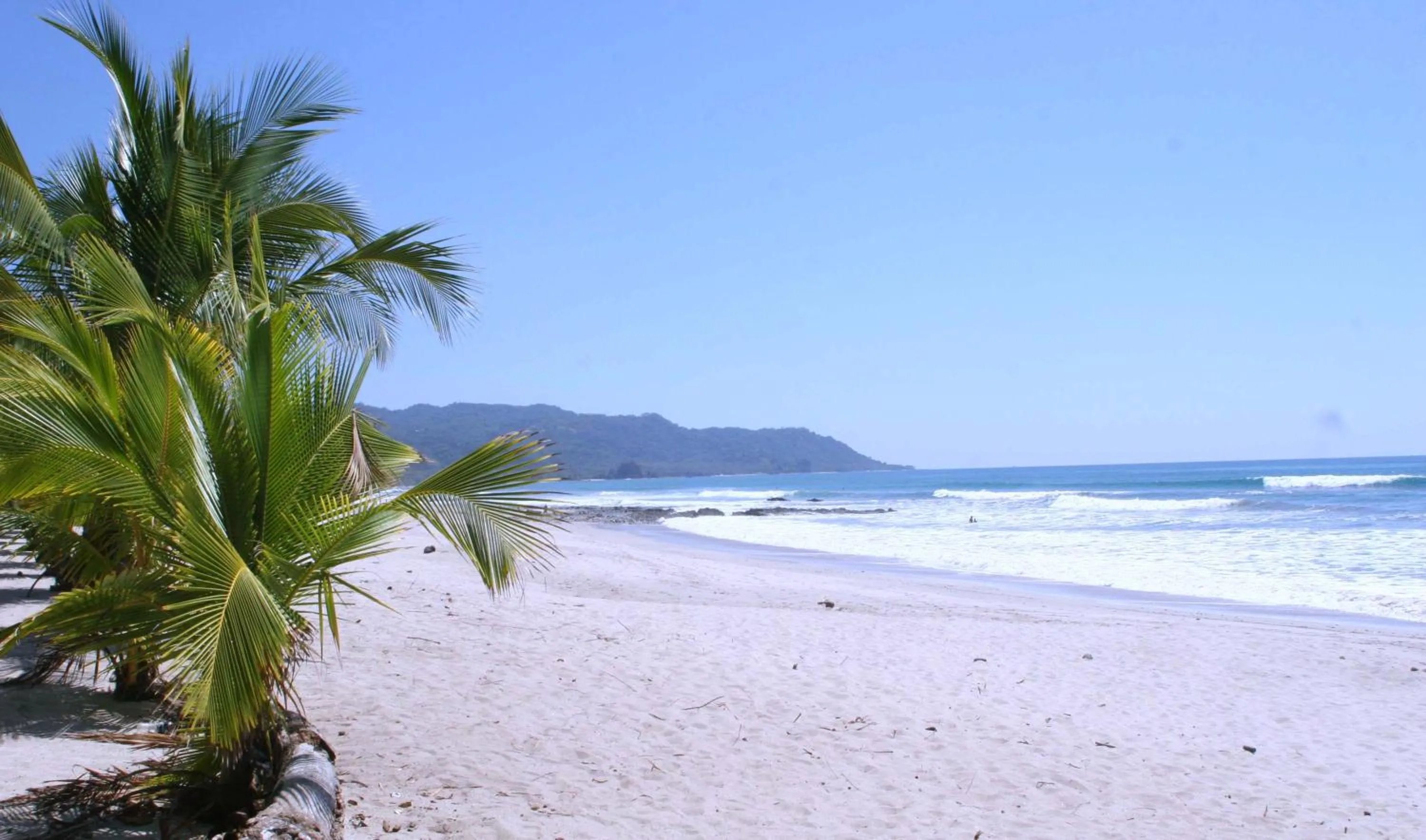 Beach in Plaza Royal Apartments
