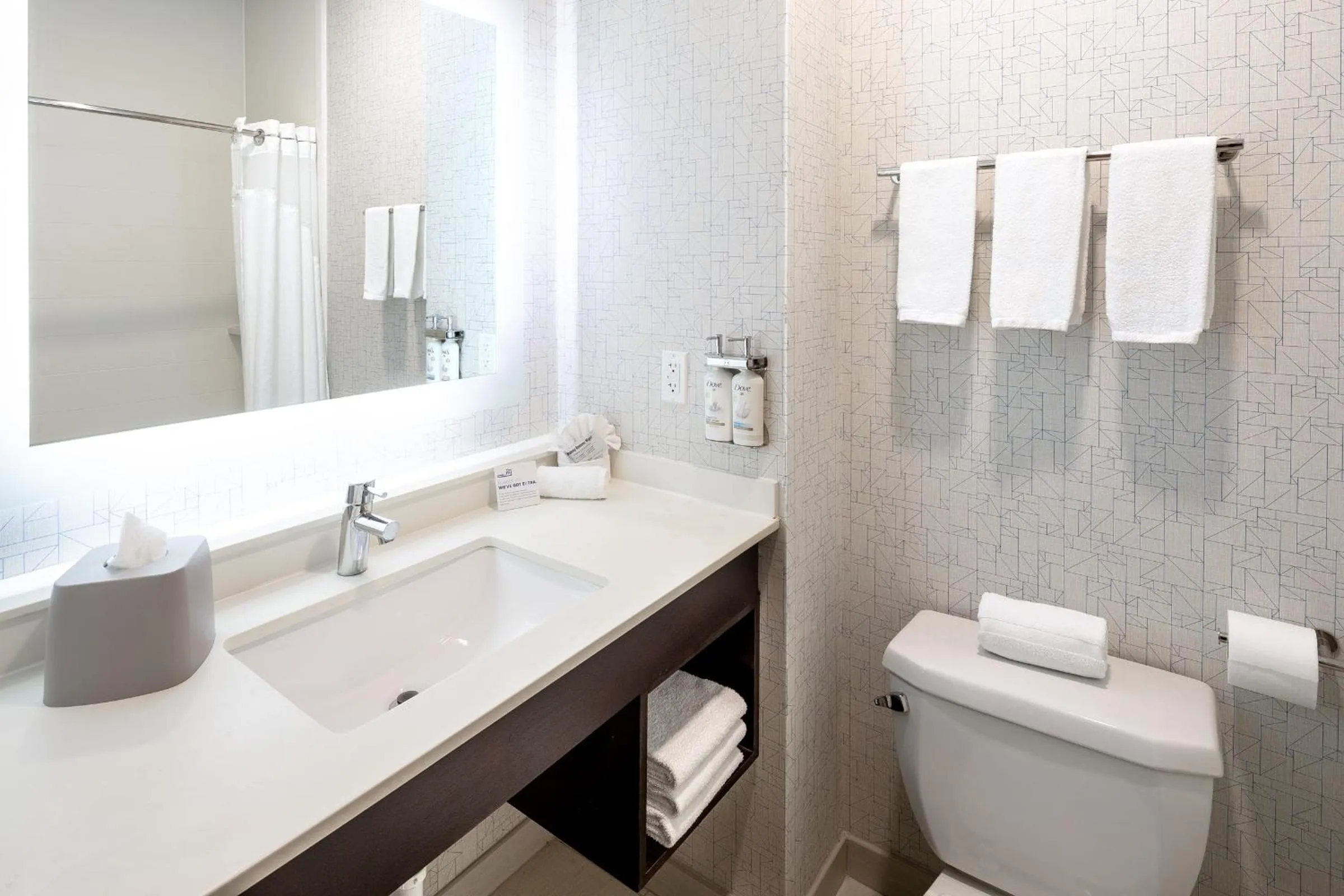Toilet in Holiday Inn Express & Suites Chicago West - St Charles by IHG