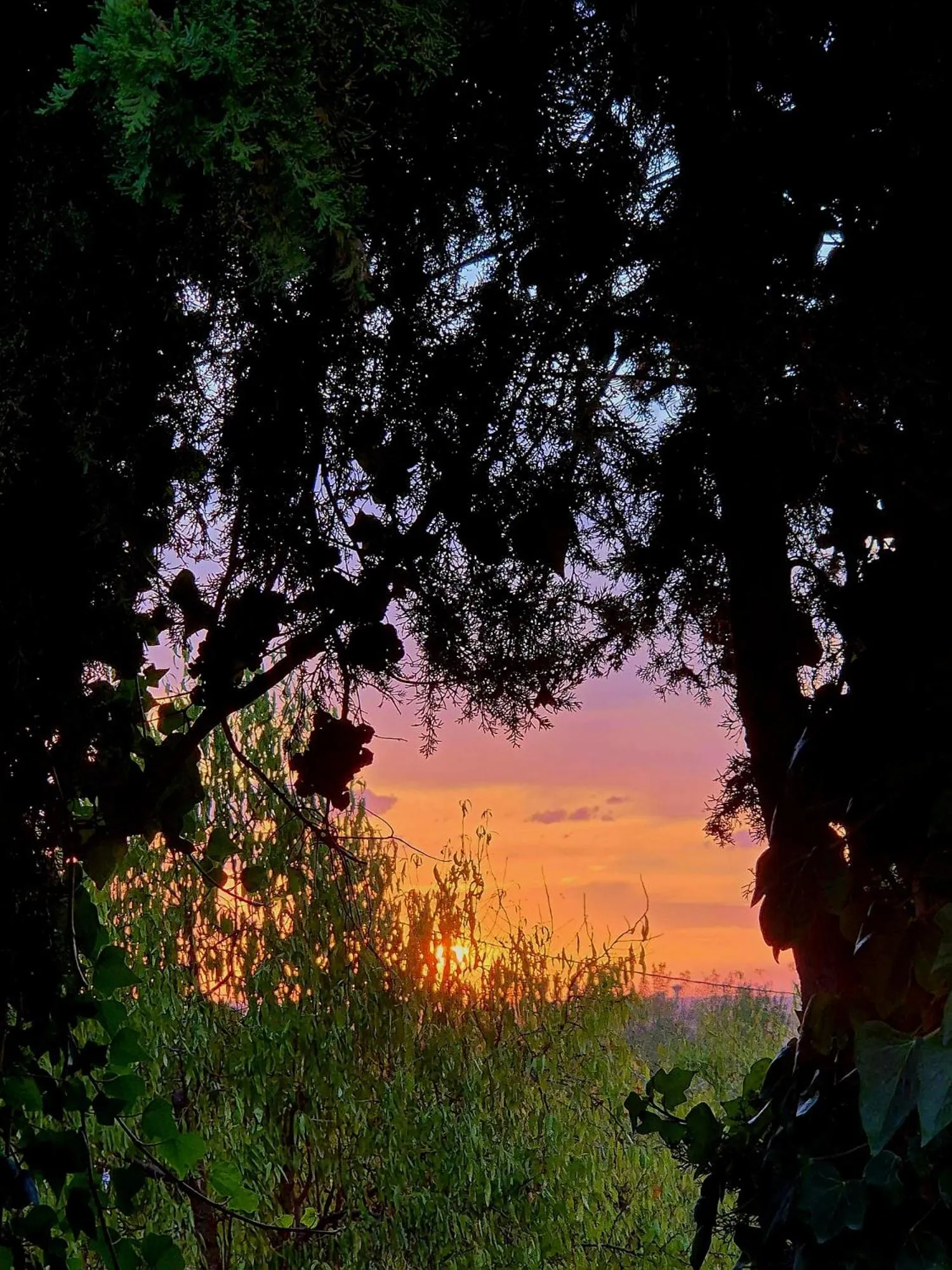 Hotel El Prado by Vivere Stays