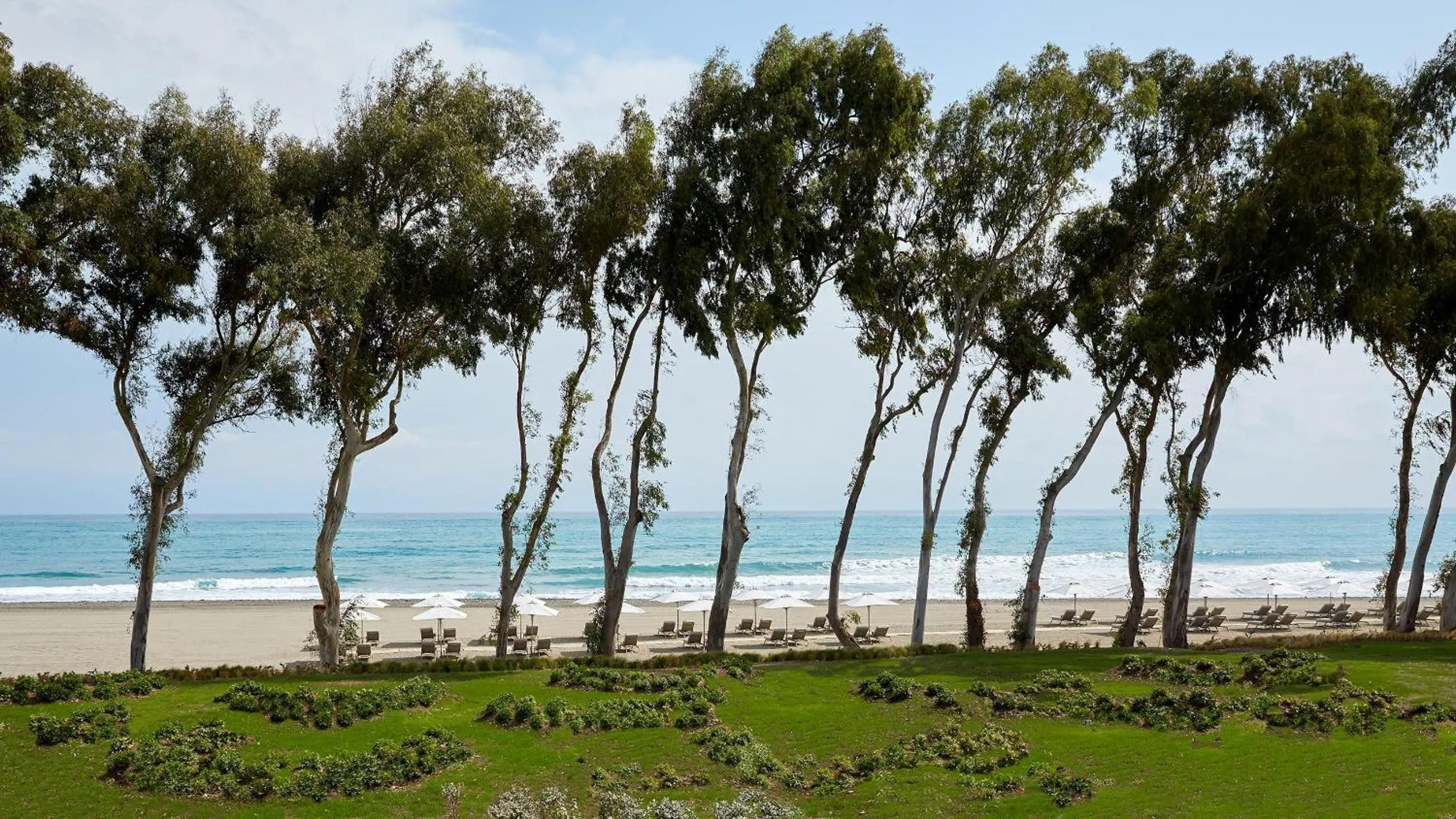 Beach in Ikos Andalusia