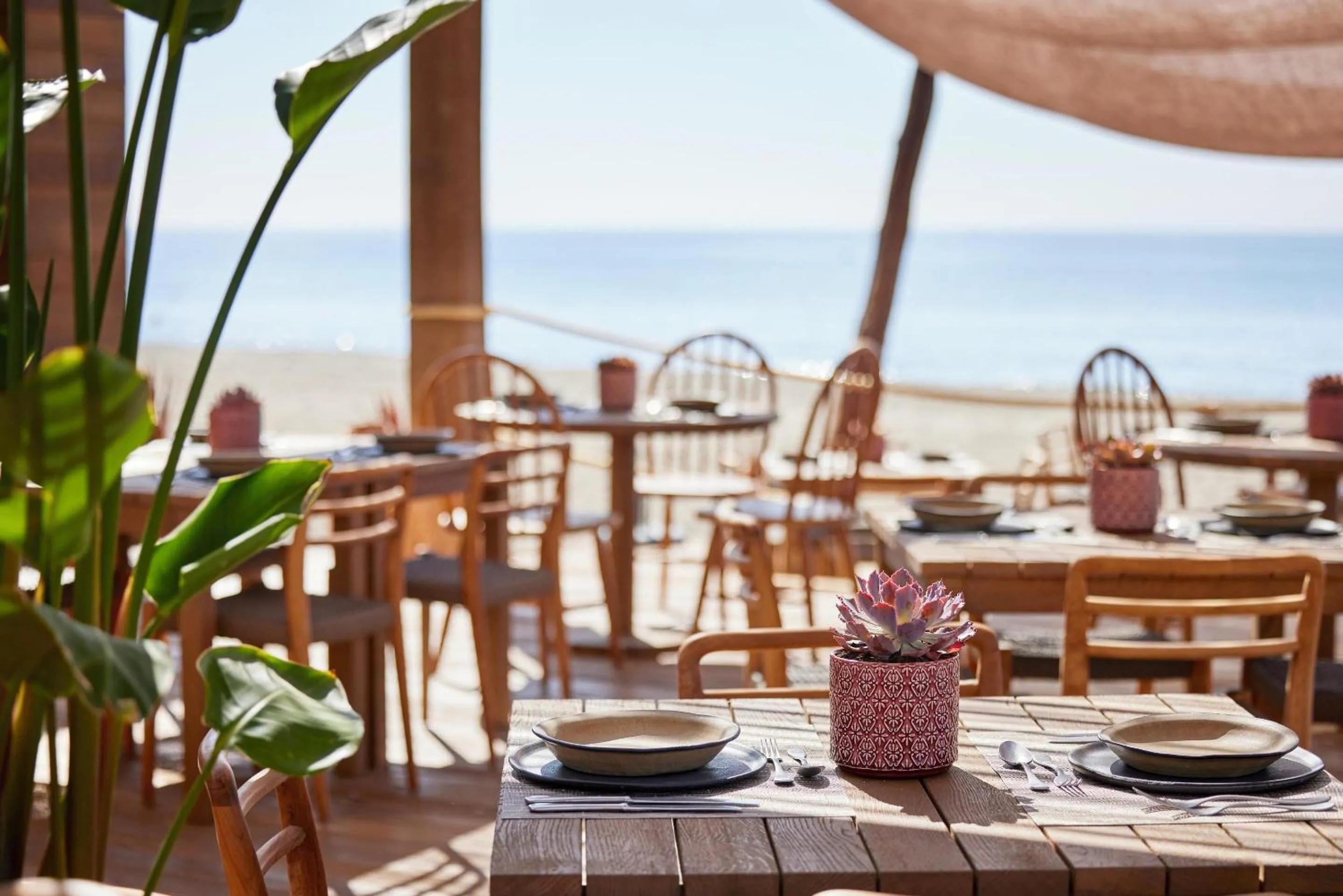 Restaurant/places to eat in Ikos Andalusia